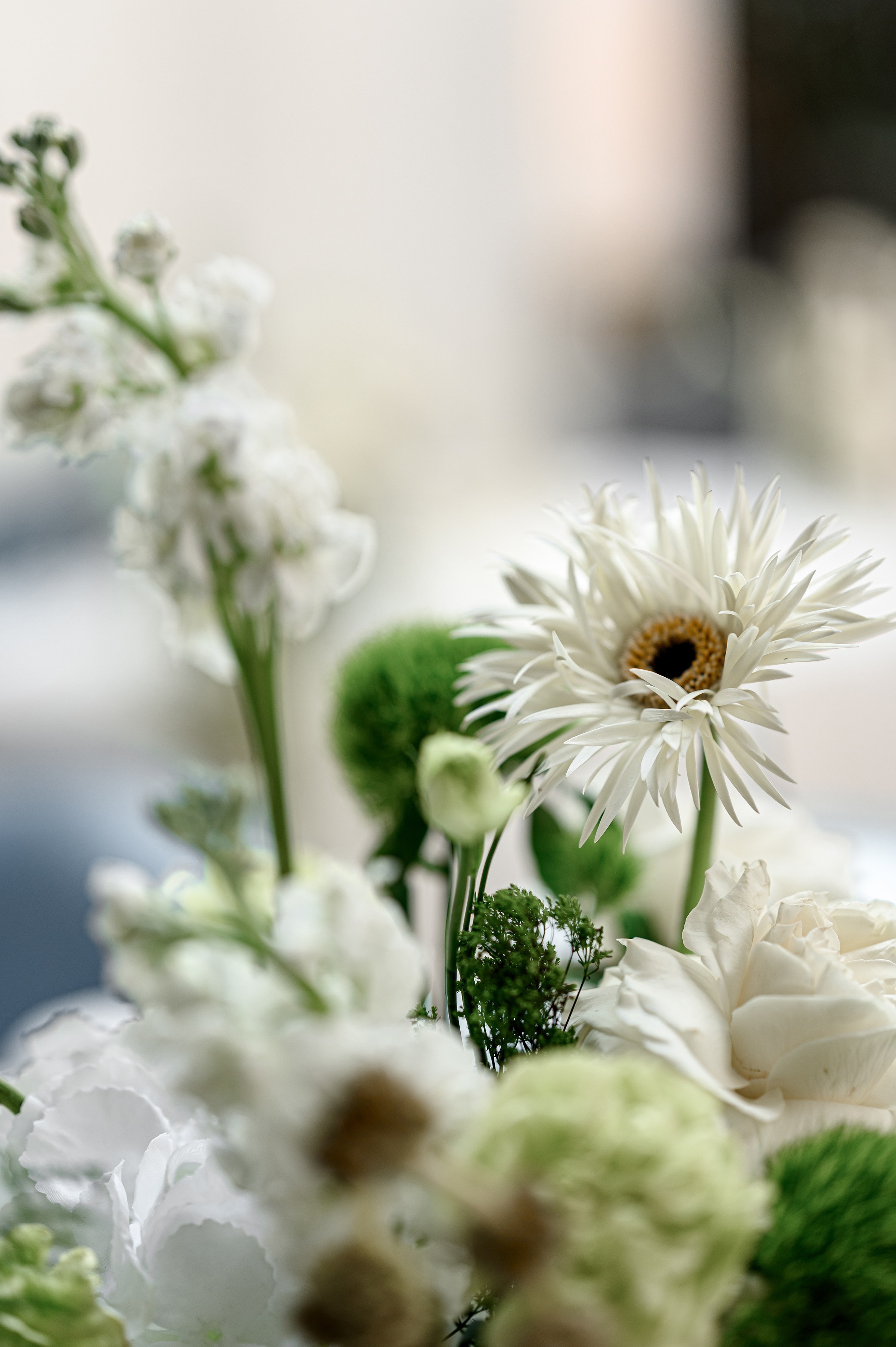 MAXIM & VLADYSLAVA. Свадебный и семейный фотограф