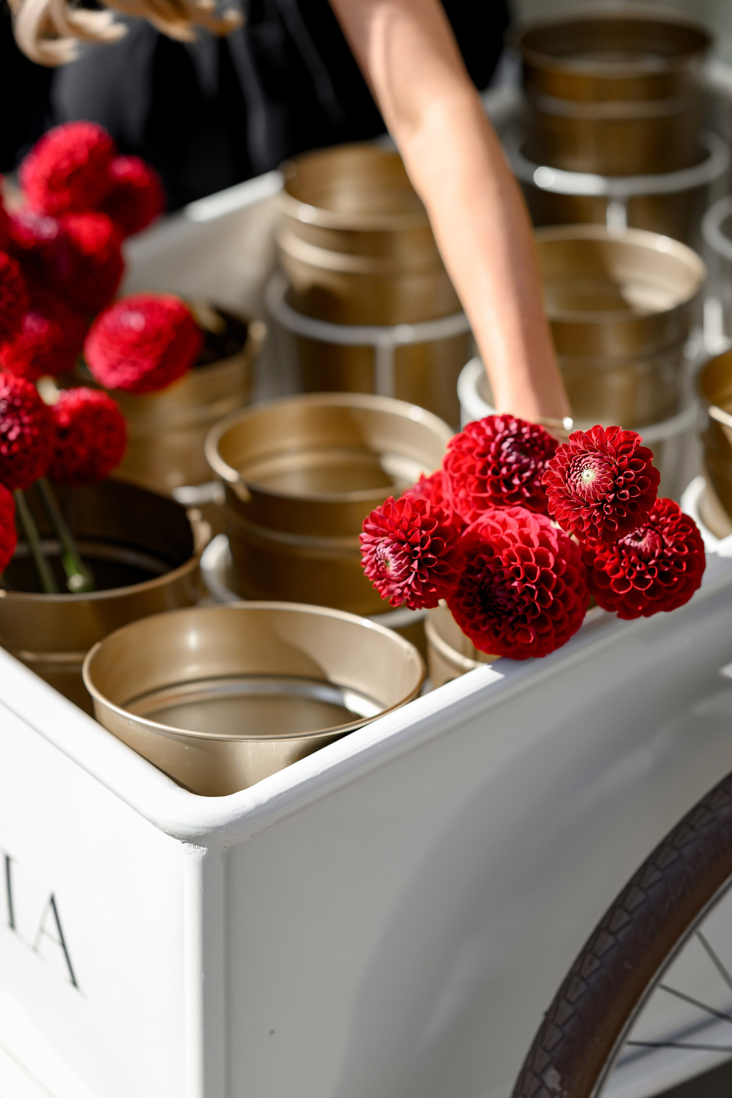 «FREESIA». Свадебный и семейный фотограф