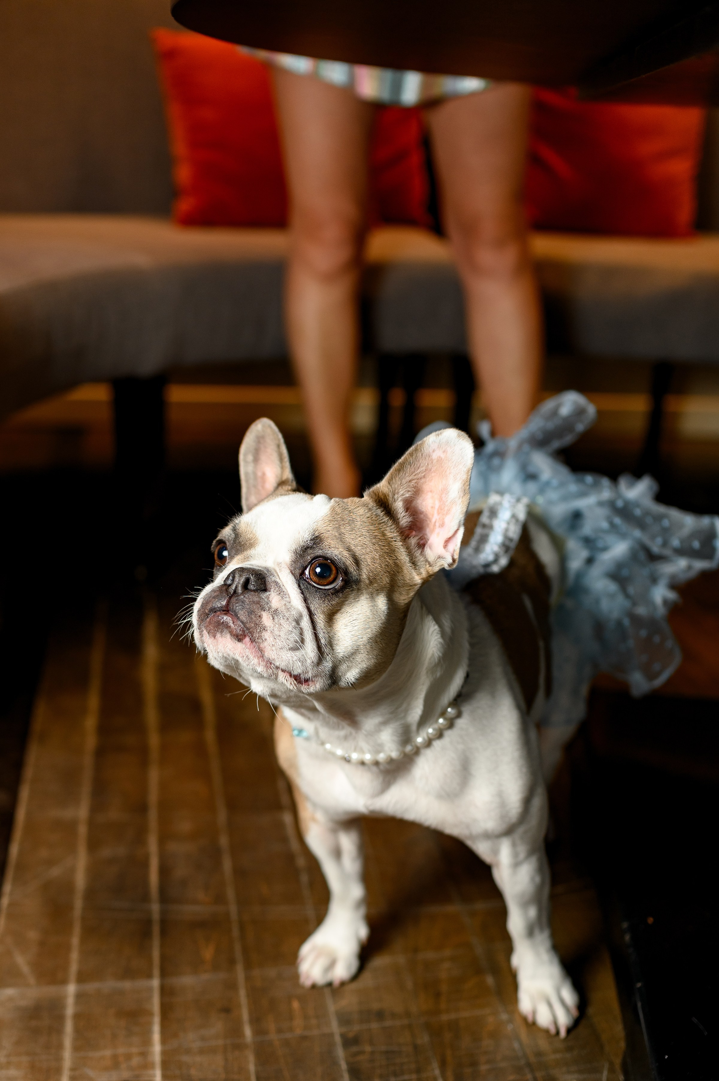 '' HAPPY BIRTHDAY ''. Свадебный и семейный фотограф