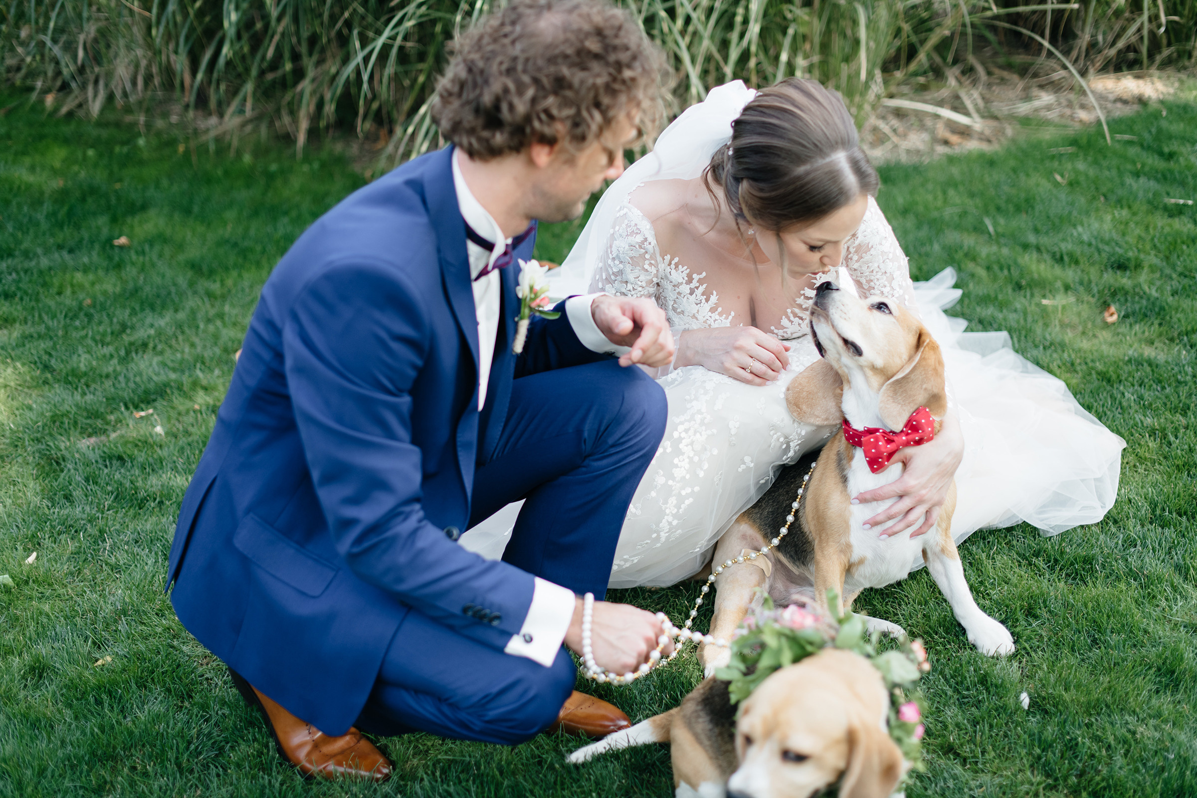 Олег & Юлія. Свадебный и семейный фотограф