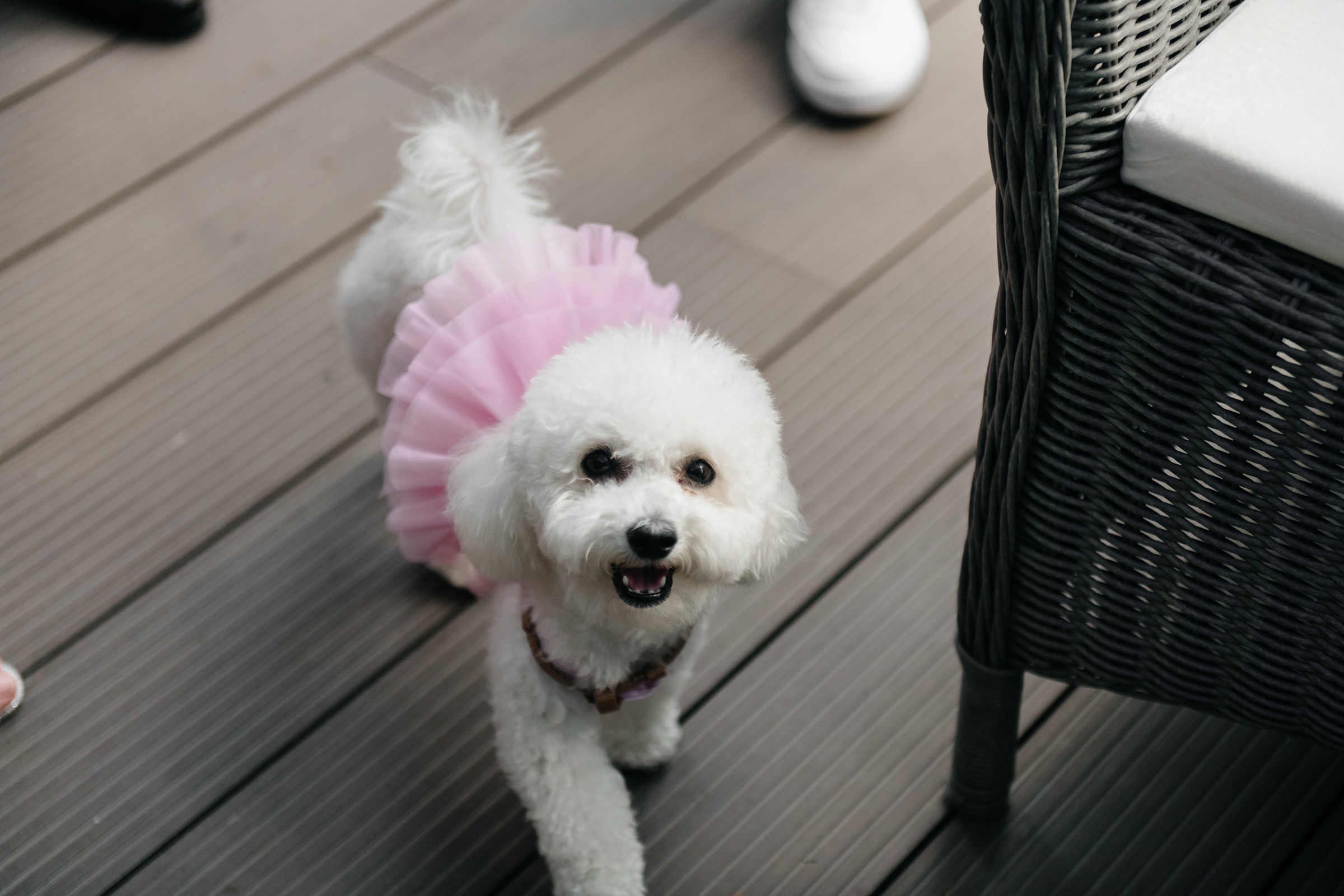 Ігор & Марія. Свадебный и семейный фотограф