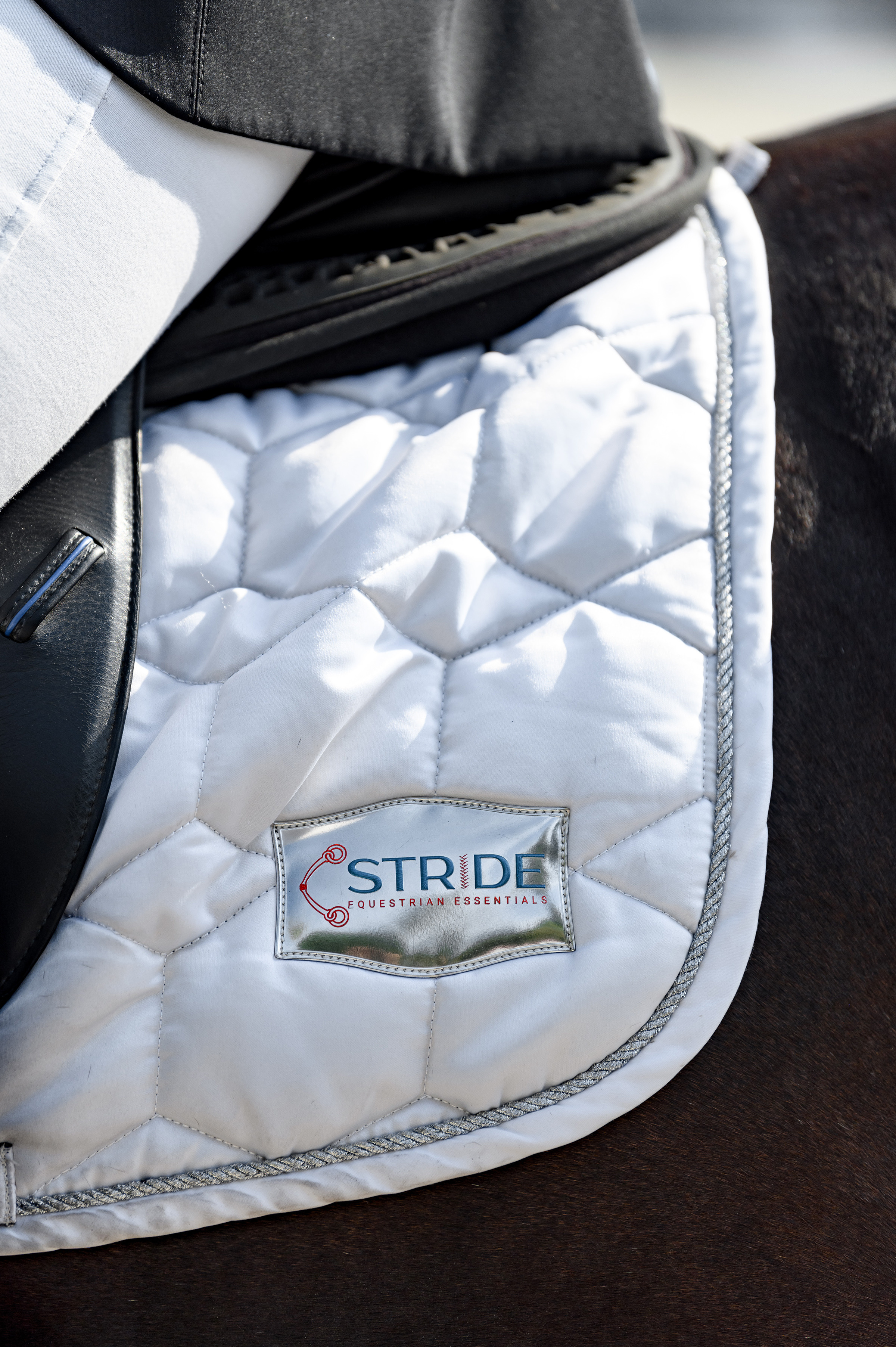 «DRESSAGE EQUIDES CUP 2023». Свадебный и семейный фотограф