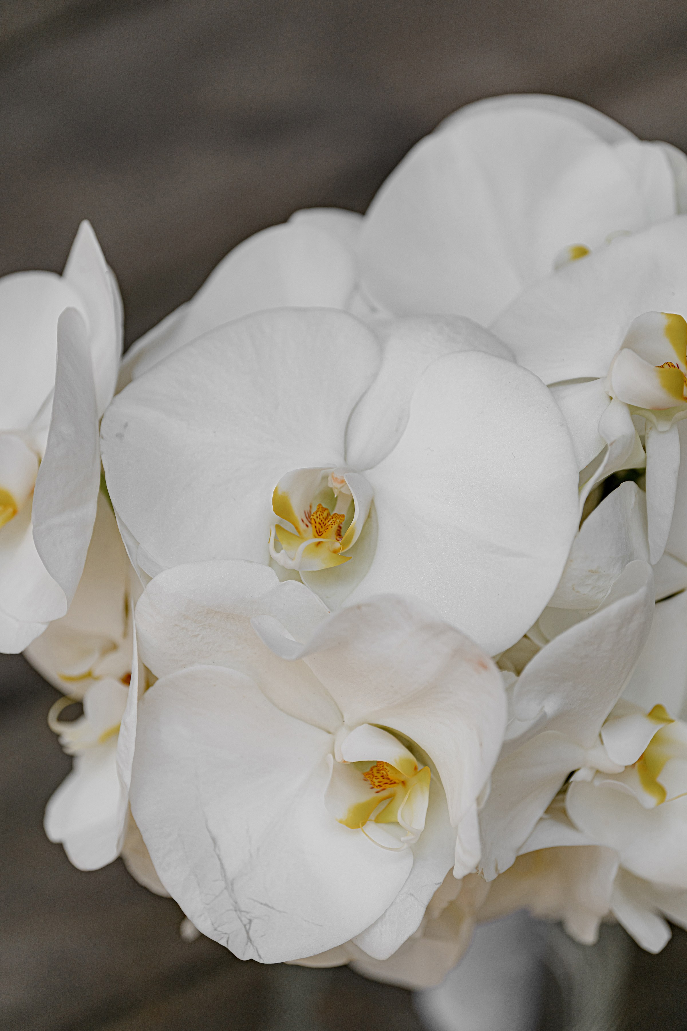 A & Z. Свадебный и семейный фотограф