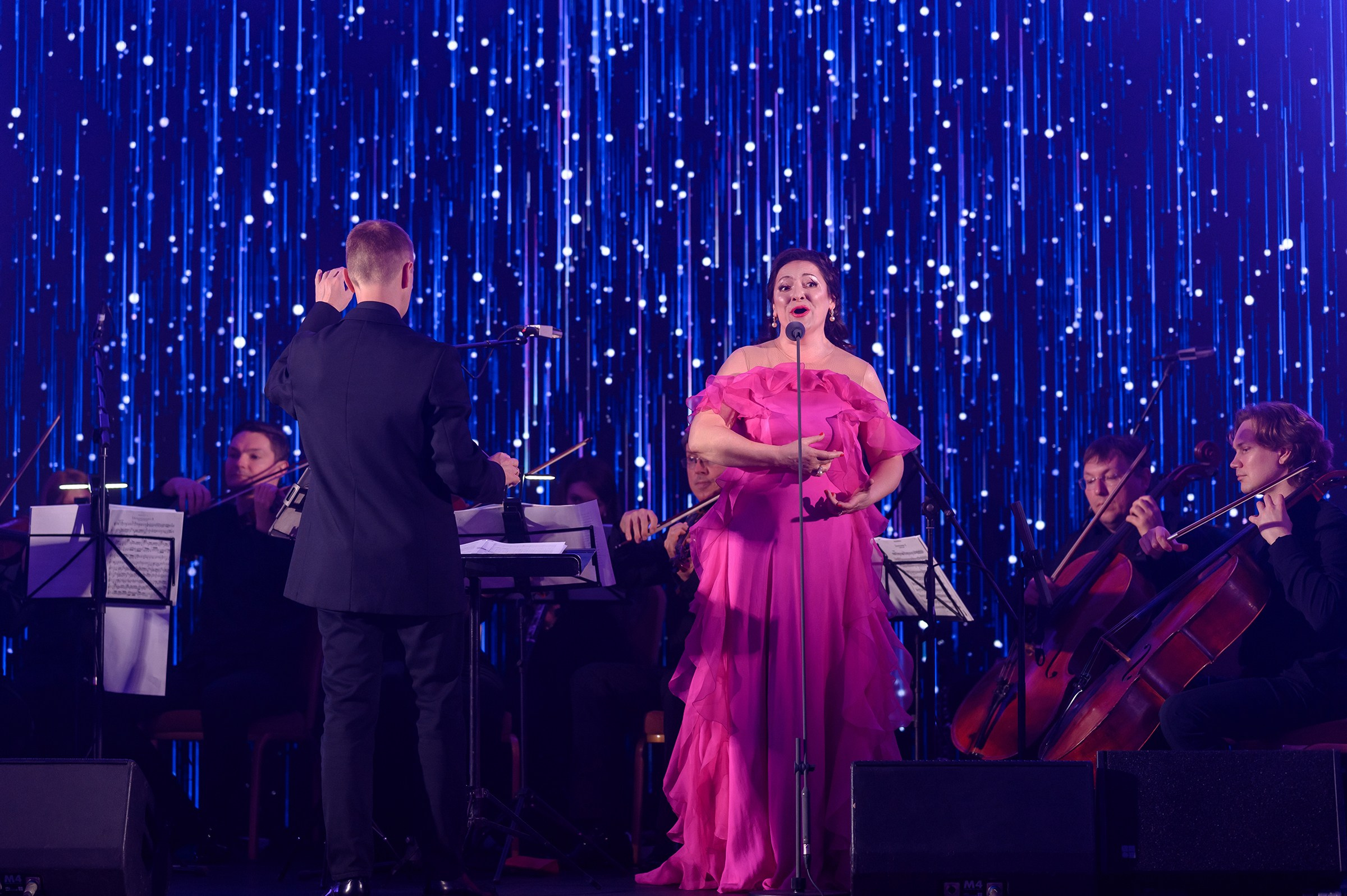 " Viennese Ball Kyiv ". Свадебный и семейный фотограф