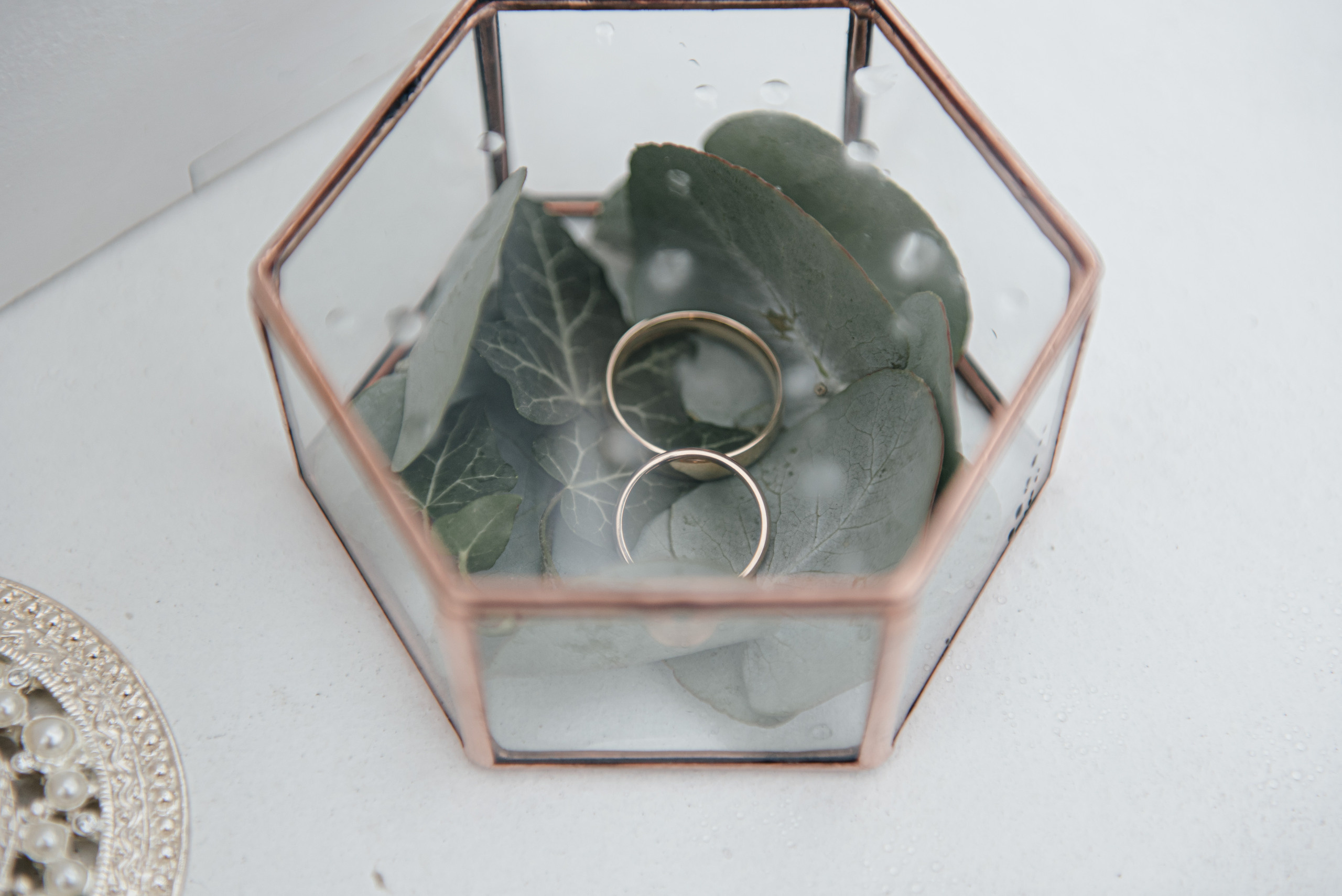 Родіон & Марія. Свадебный и семейный фотограф