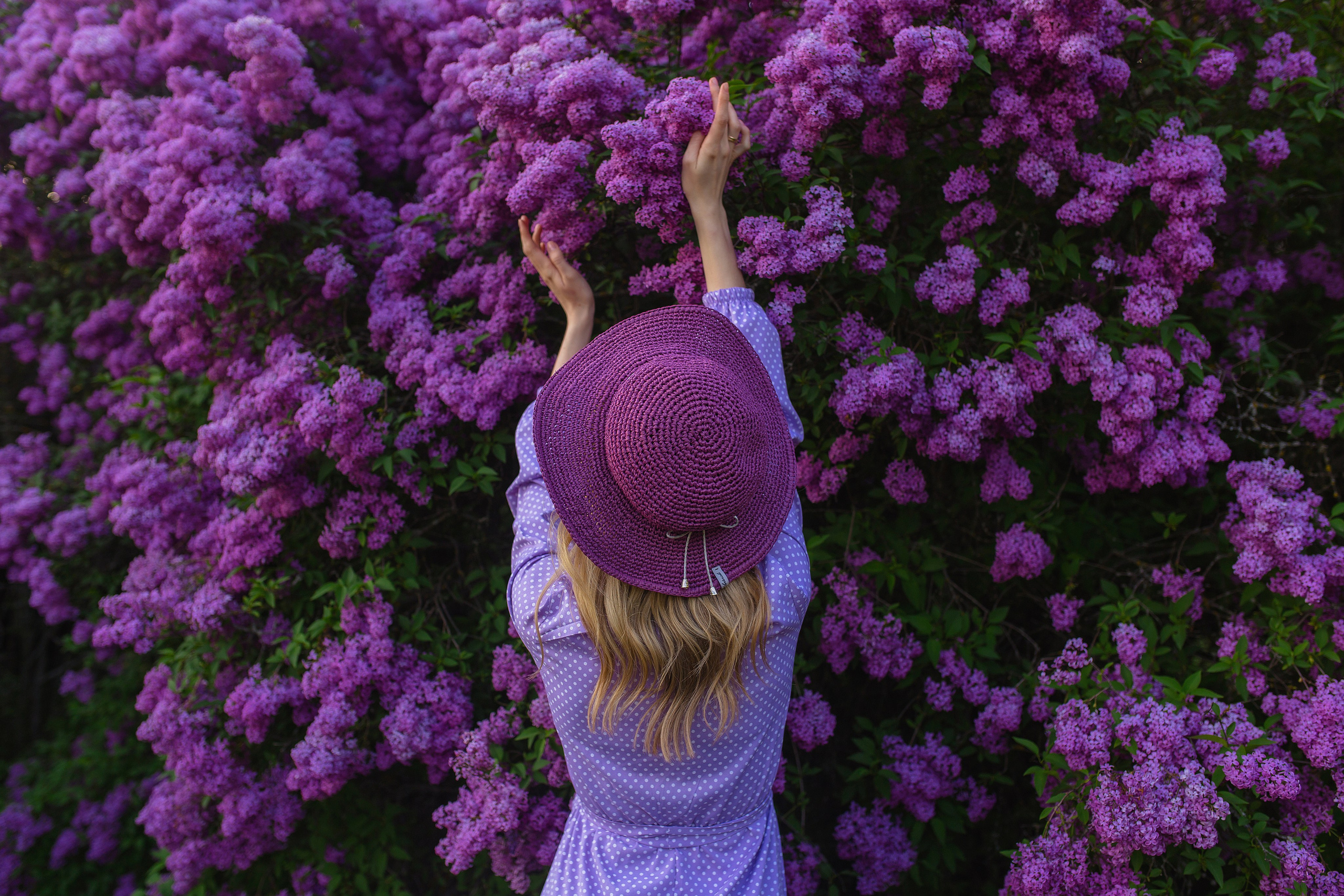 Фотографии с индивидуальных сьемок. Свадебный и семейный фотограф в Запорожье Влад Ткаченко