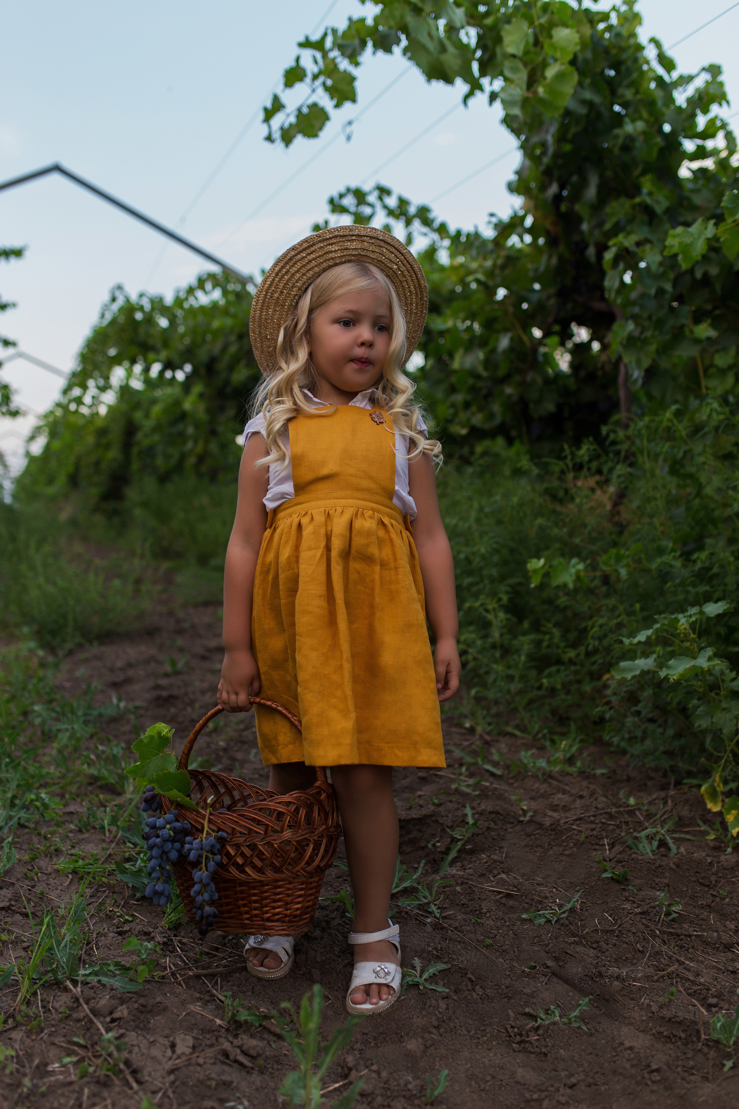 Альбом семейных фоток. Свадебный и семейный фотограф в Запорожье Влад Ткаченко