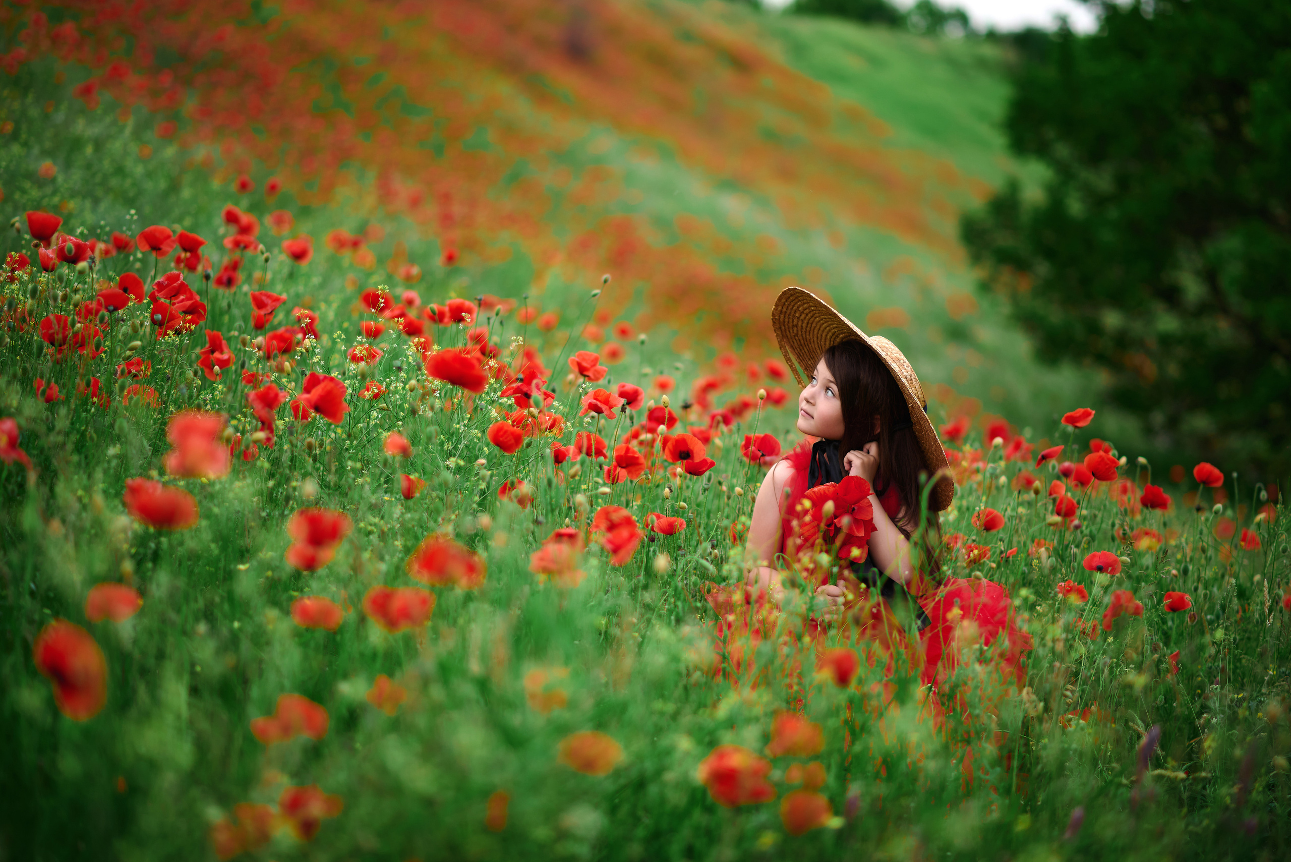 Творческие. Свадебный и семейный фотограф Виталий Рутчин в Запорожье