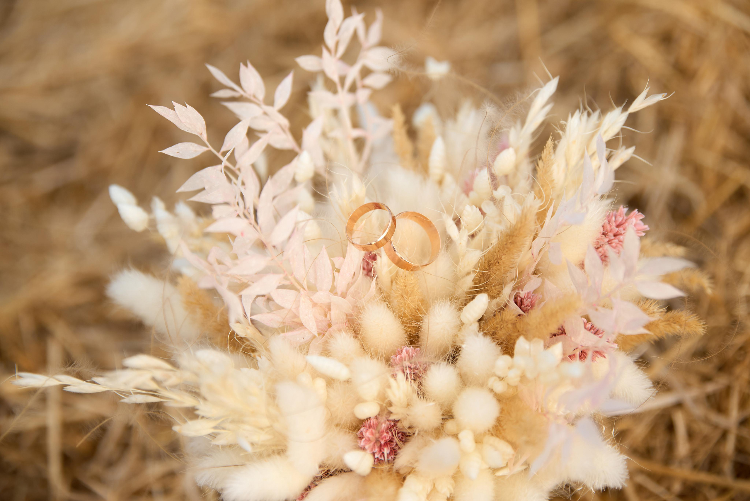 Евгений & Анастасия. Свадебный и семейный фотограф Виталий Рутчин в Запорожье