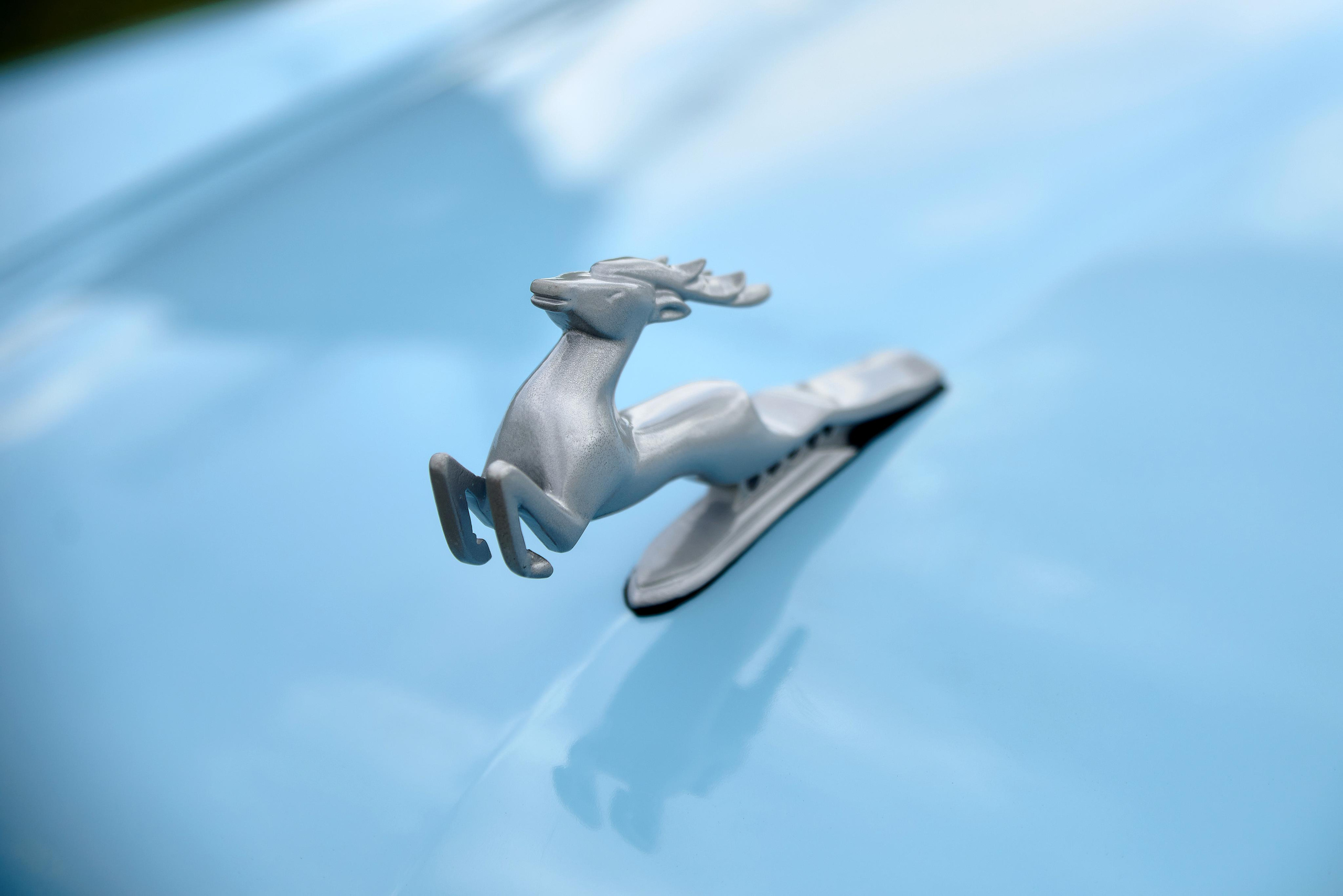 Виталий & Ольга. Свадебный и семейный фотограф Виталий Рутчин в Запорожье