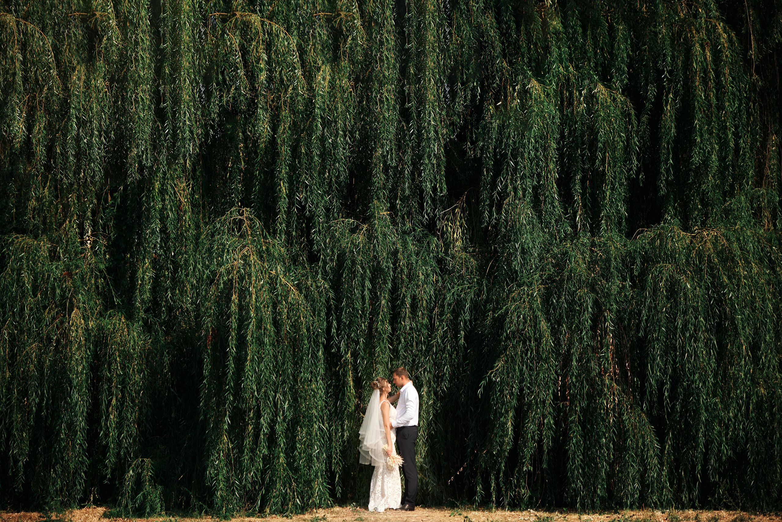 Евгений & Анастасия. Свадебный и семейный фотограф Виталий Рутчин в Запорожье