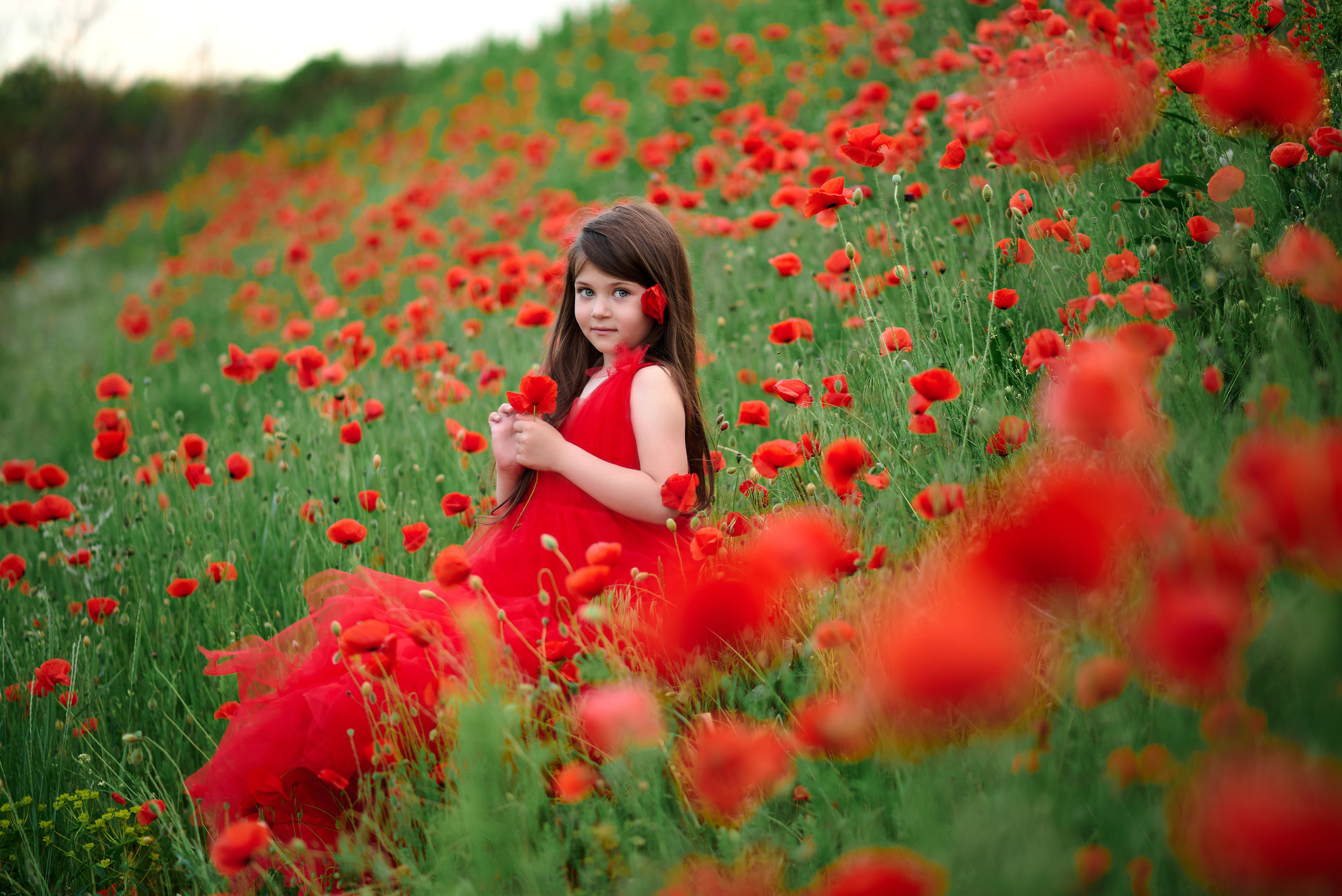 Творческие. Свадебный и семейный фотограф Виталий Рутчин в Запорожье