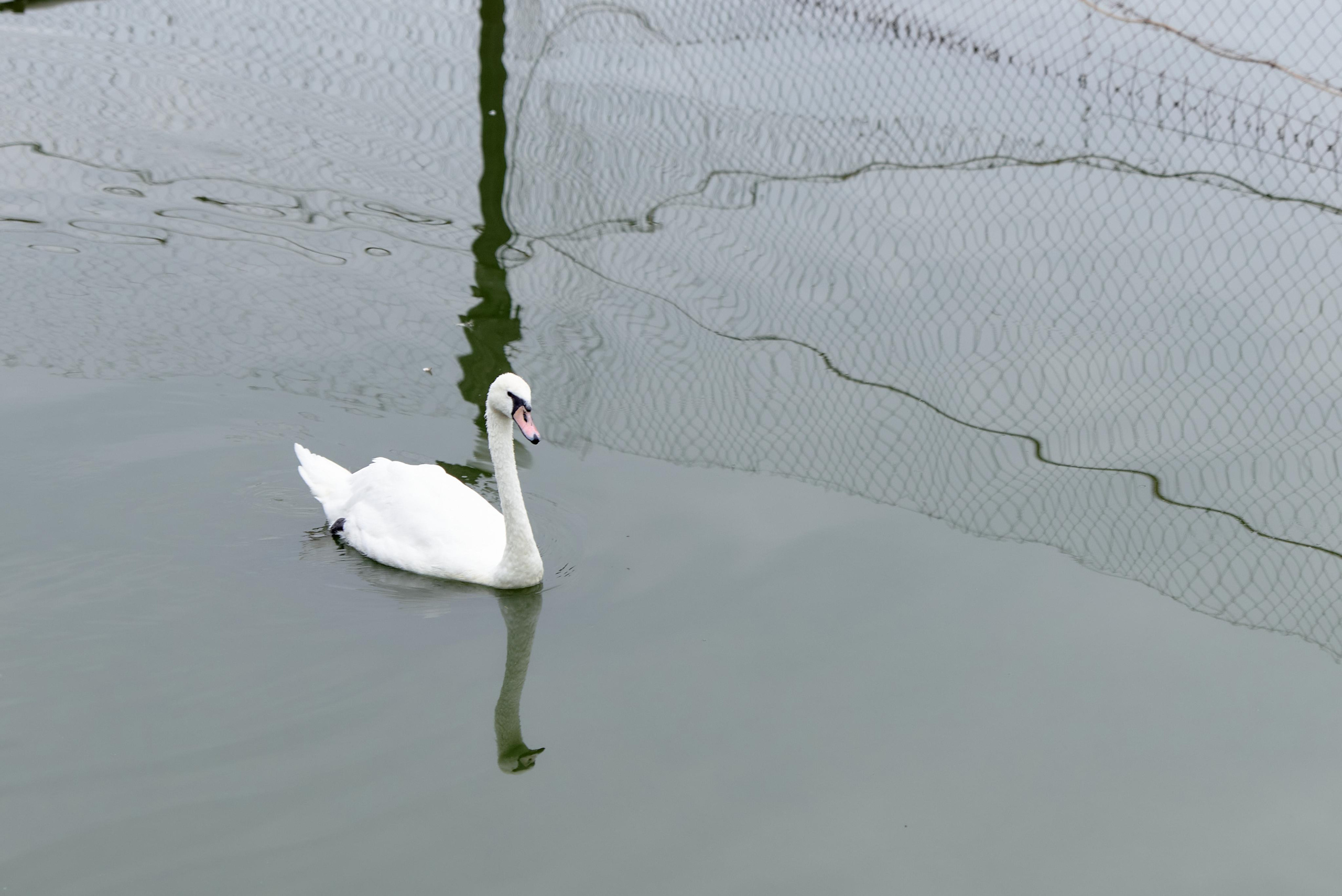 Александр & Анастасия. Свадебный и семейный фотограф Виталий Рутчин в Запорожье