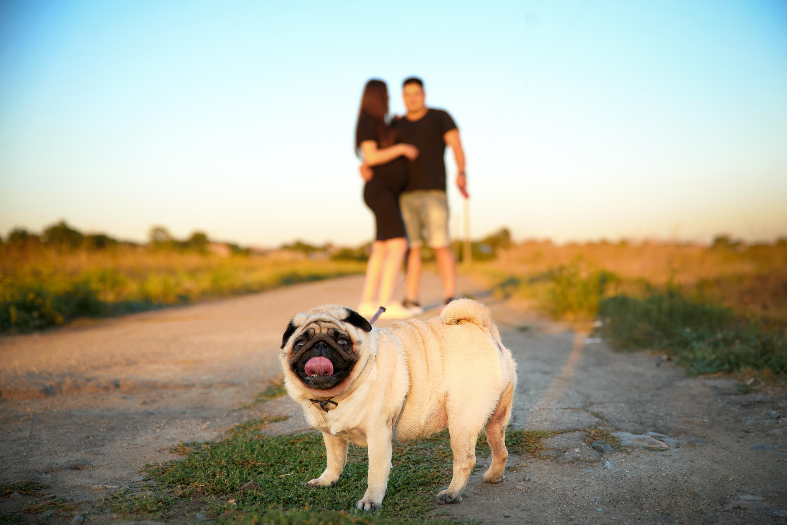 Андрій & Ганна. Весільний та сімейний фотограф Віталій Рутчин у Запоріжжі