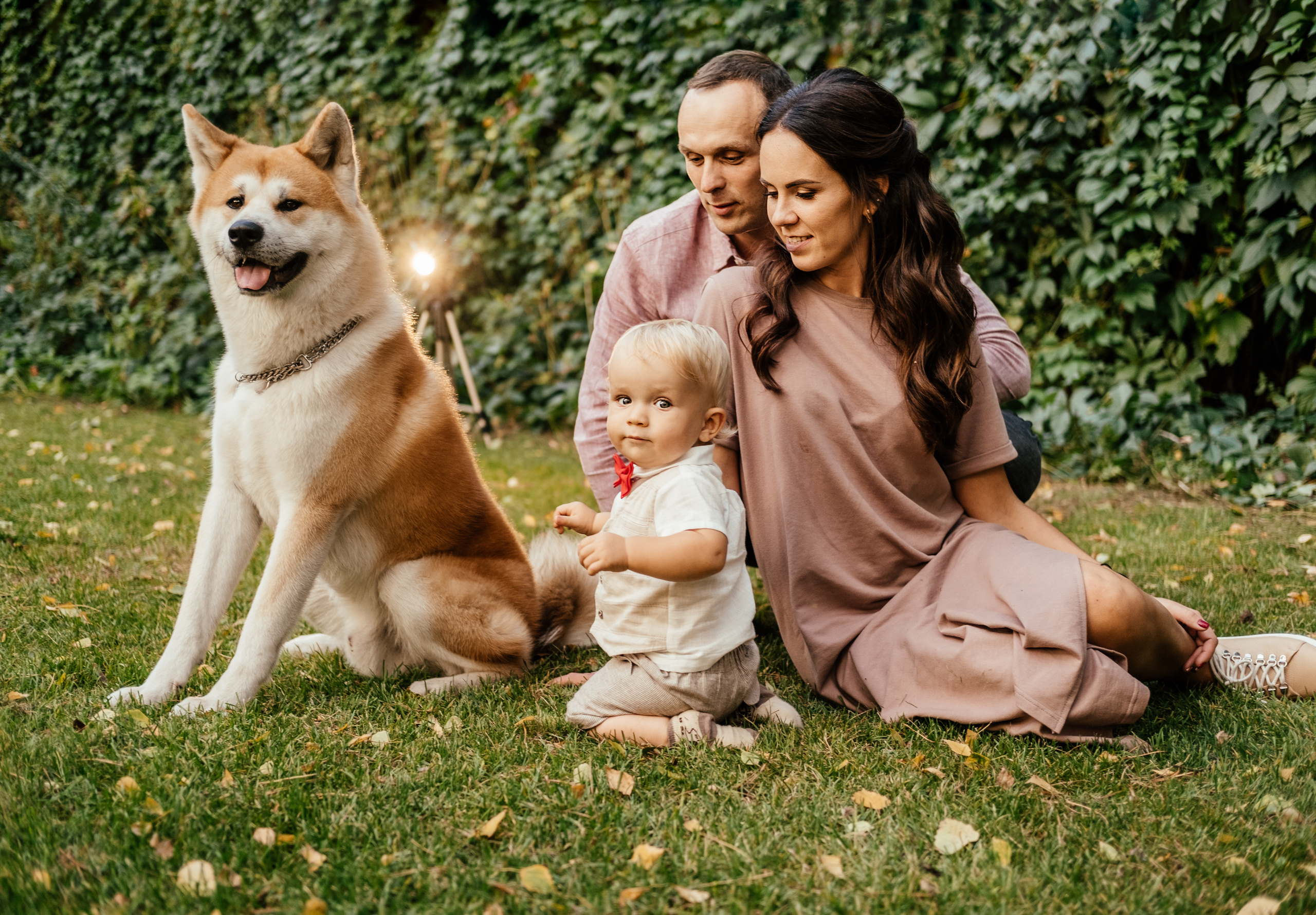 Красавчик в красной бабочке. Сімейний і портретний фотограф у Києві Проценко Алла