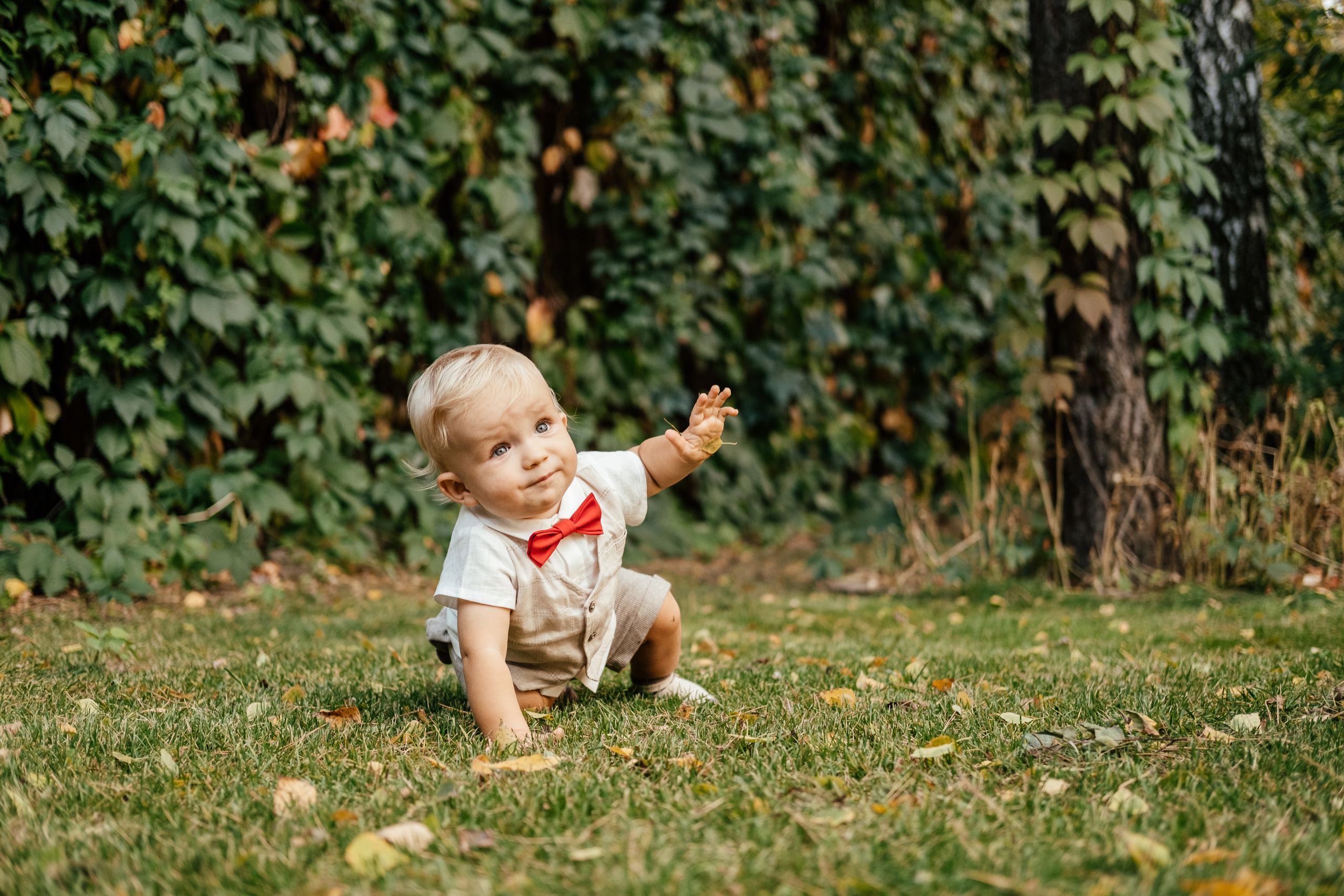 Красавчик в красной бабочке. Сімейний і портретний фотограф у Києві Проценко Алла