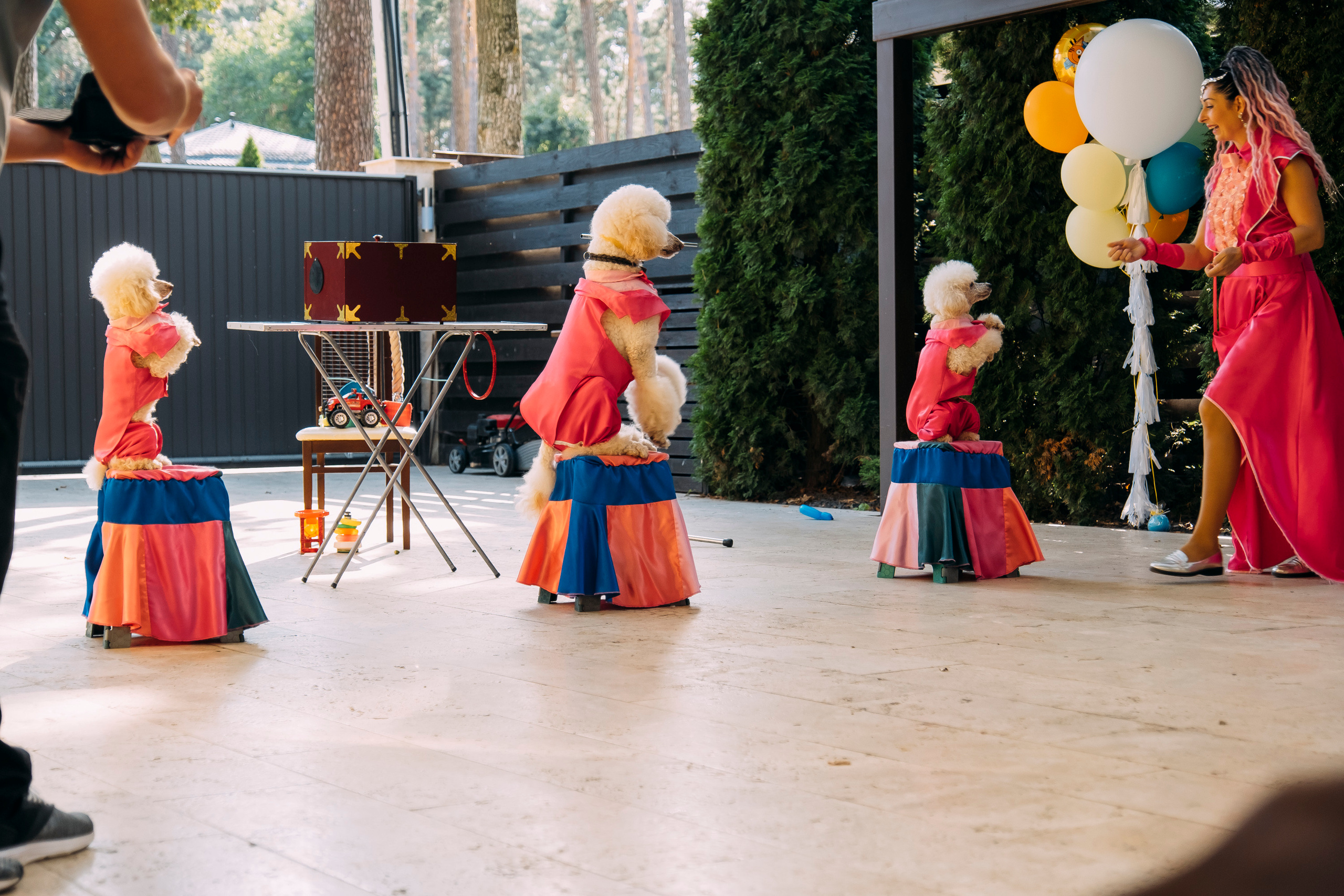 Фотосессия Дня Рождения Софийки. Сімейний і портретний фотограф у Києві Проценко Алла