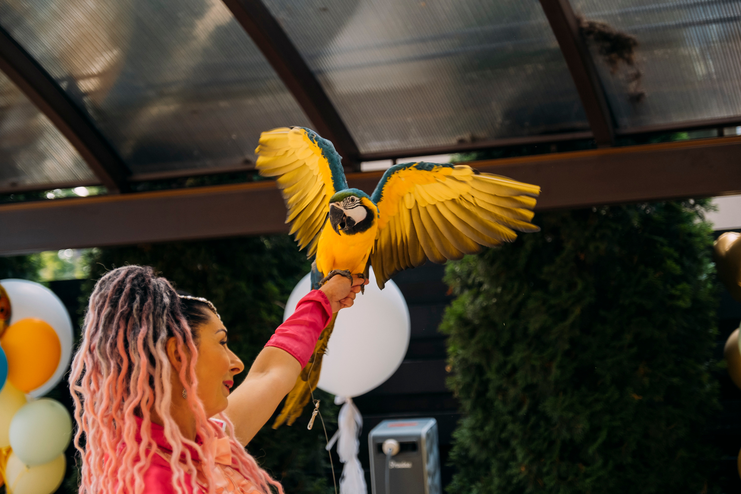 Фотосессия Дня Рождения Софийки. Сімейний і портретний фотограф у Києві Проценко Алла