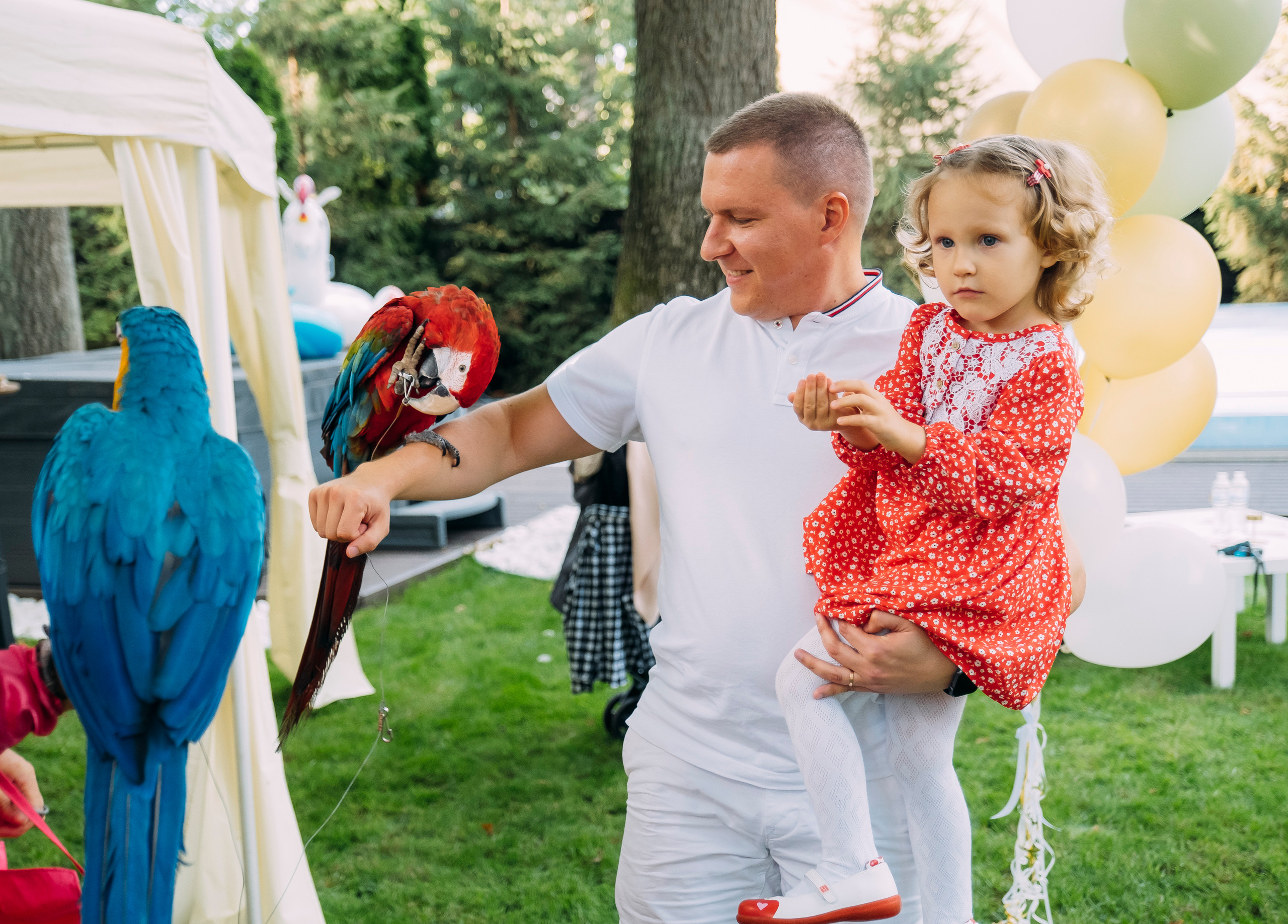 Фотосессия Дня Рождения Софийки. Сімейний і портретний фотограф у Києві Проценко Алла