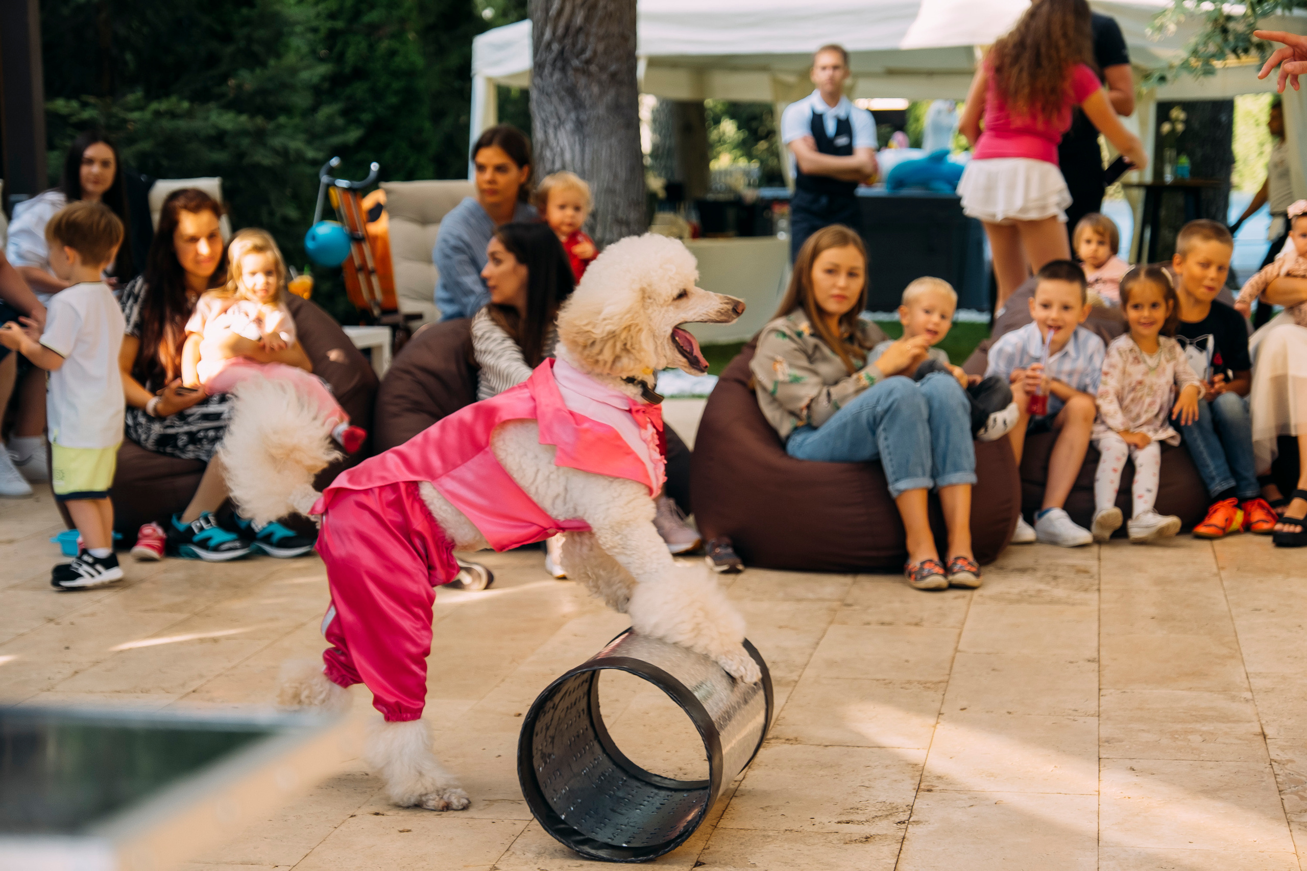Фотосессия Дня Рождения Софийки. Сімейний і портретний фотограф у Києві Проценко Алла