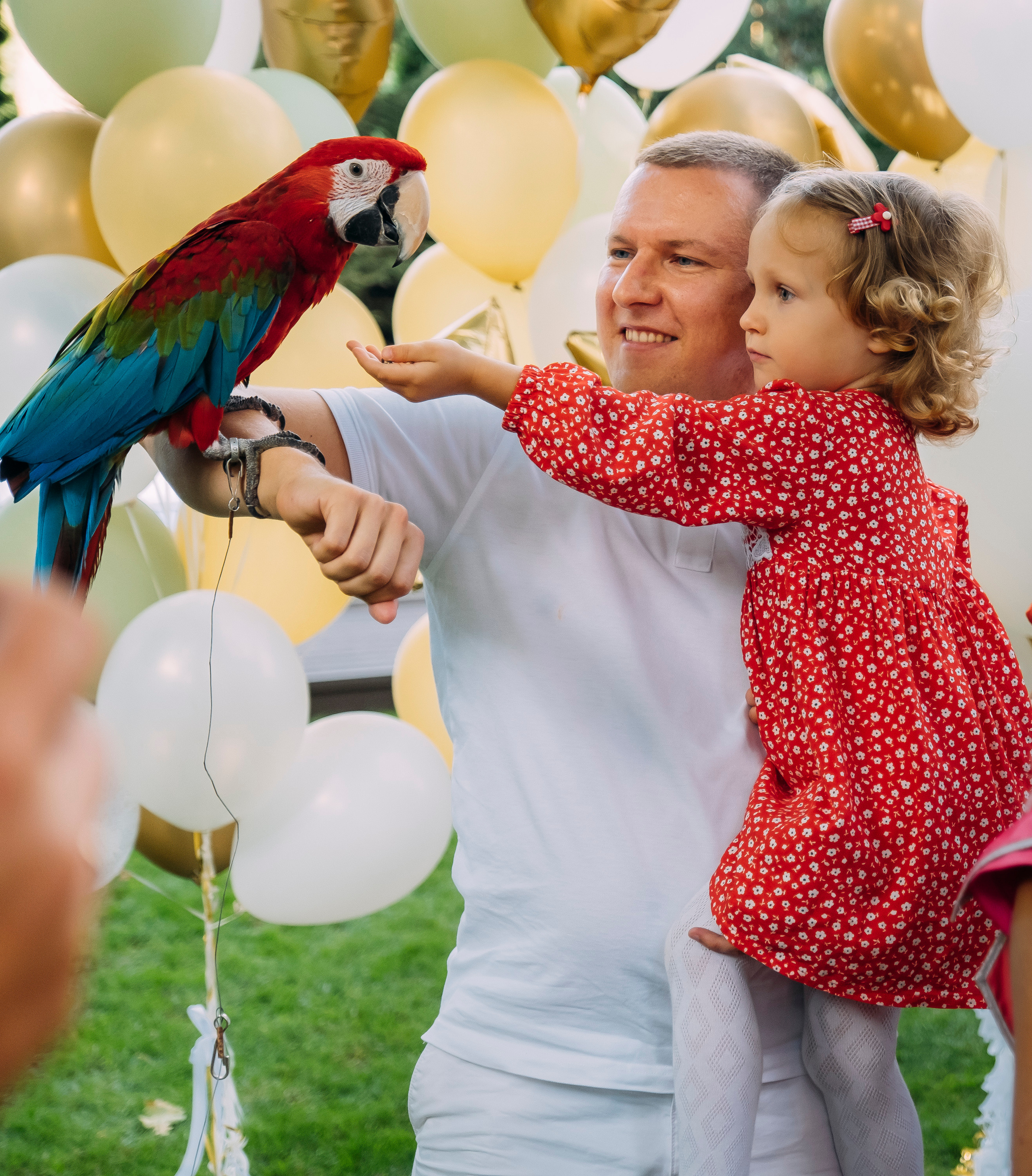 Фотосессия Дня Рождения Софийки. Сімейний і портретний фотограф у Києві Проценко Алла