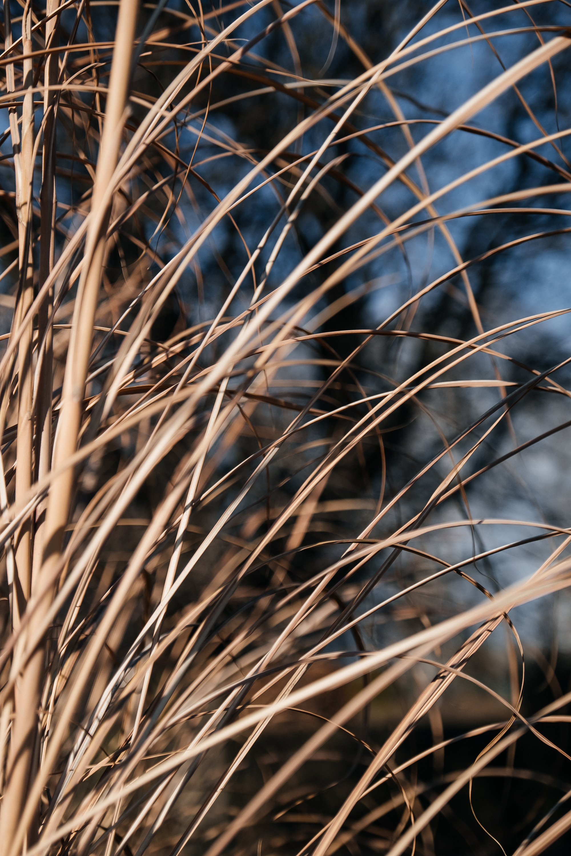 Свадьба Влада и Светы. Сімейний і портретний фотограф у Києві Проценко Алла
