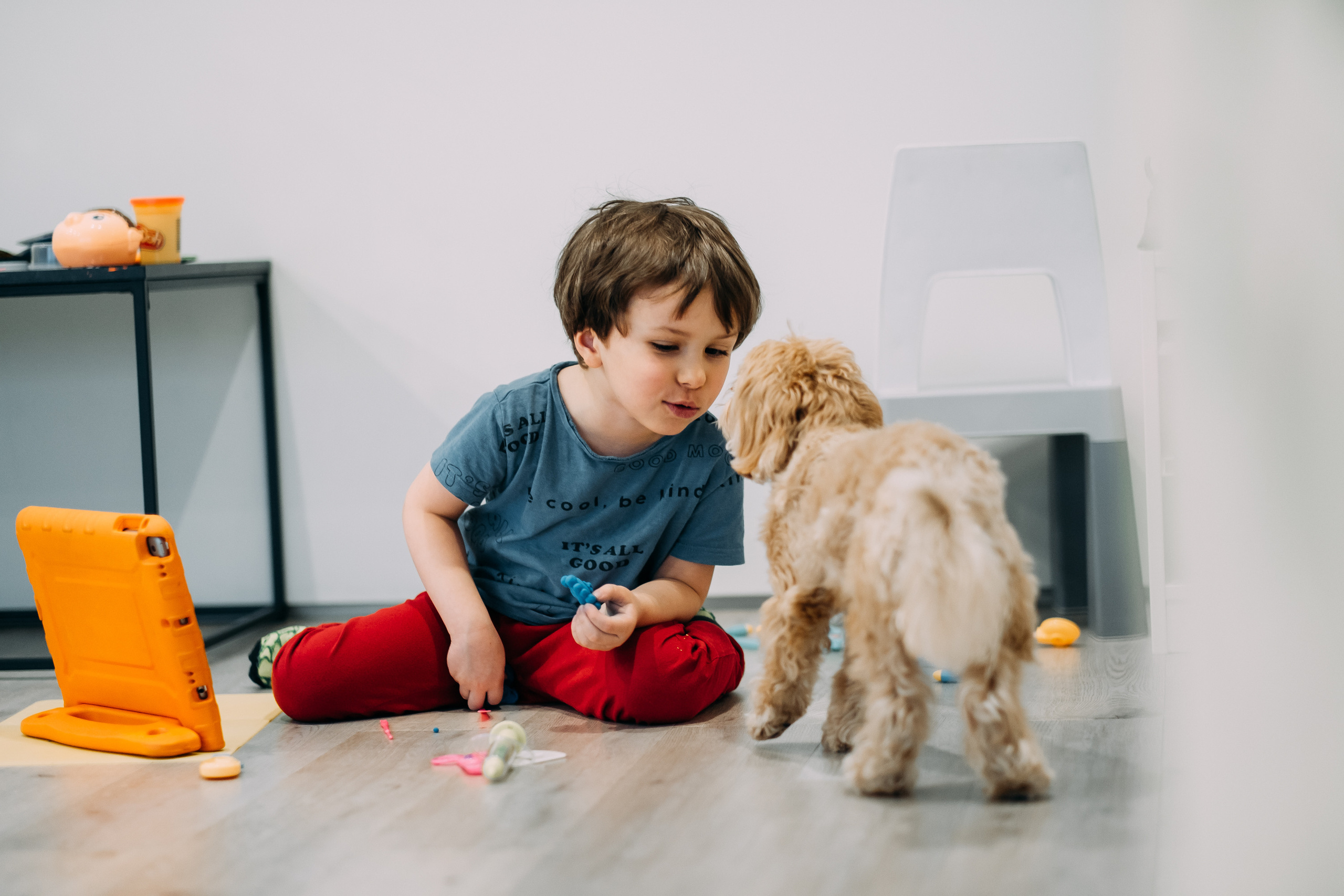 Home Sweet Home. Сімейний і портретний фотограф у Києві Проценко Алла