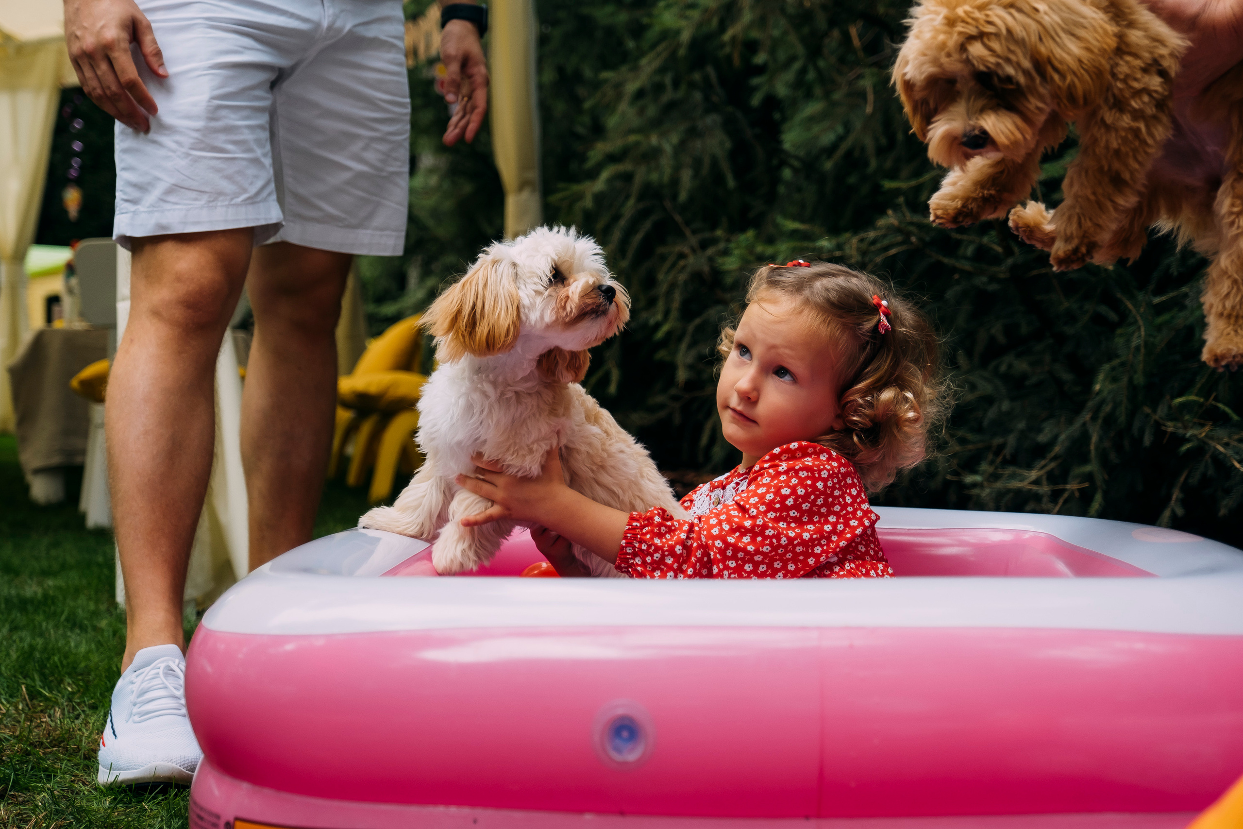Фотосессия Дня Рождения Софийки. Сімейний і портретний фотограф у Києві Проценко Алла