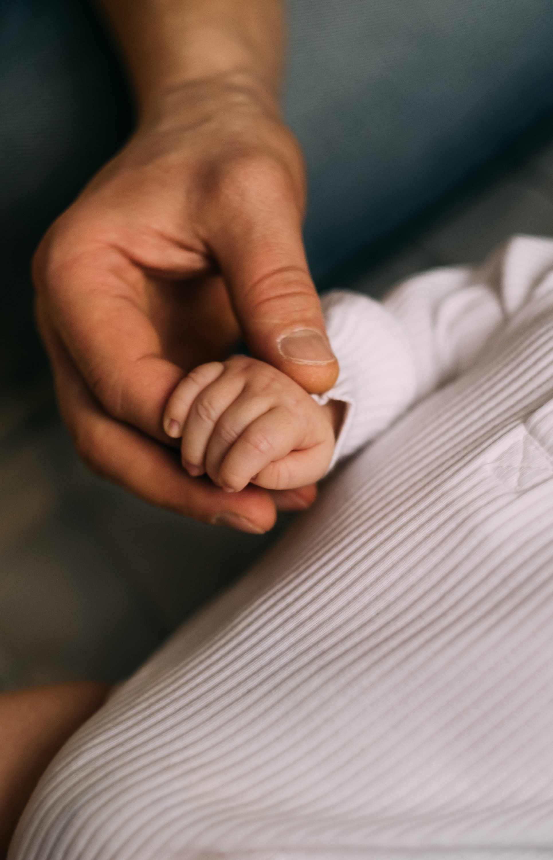 Hello, little!. Сімейний і портретний фотограф у Києві Проценко Алла