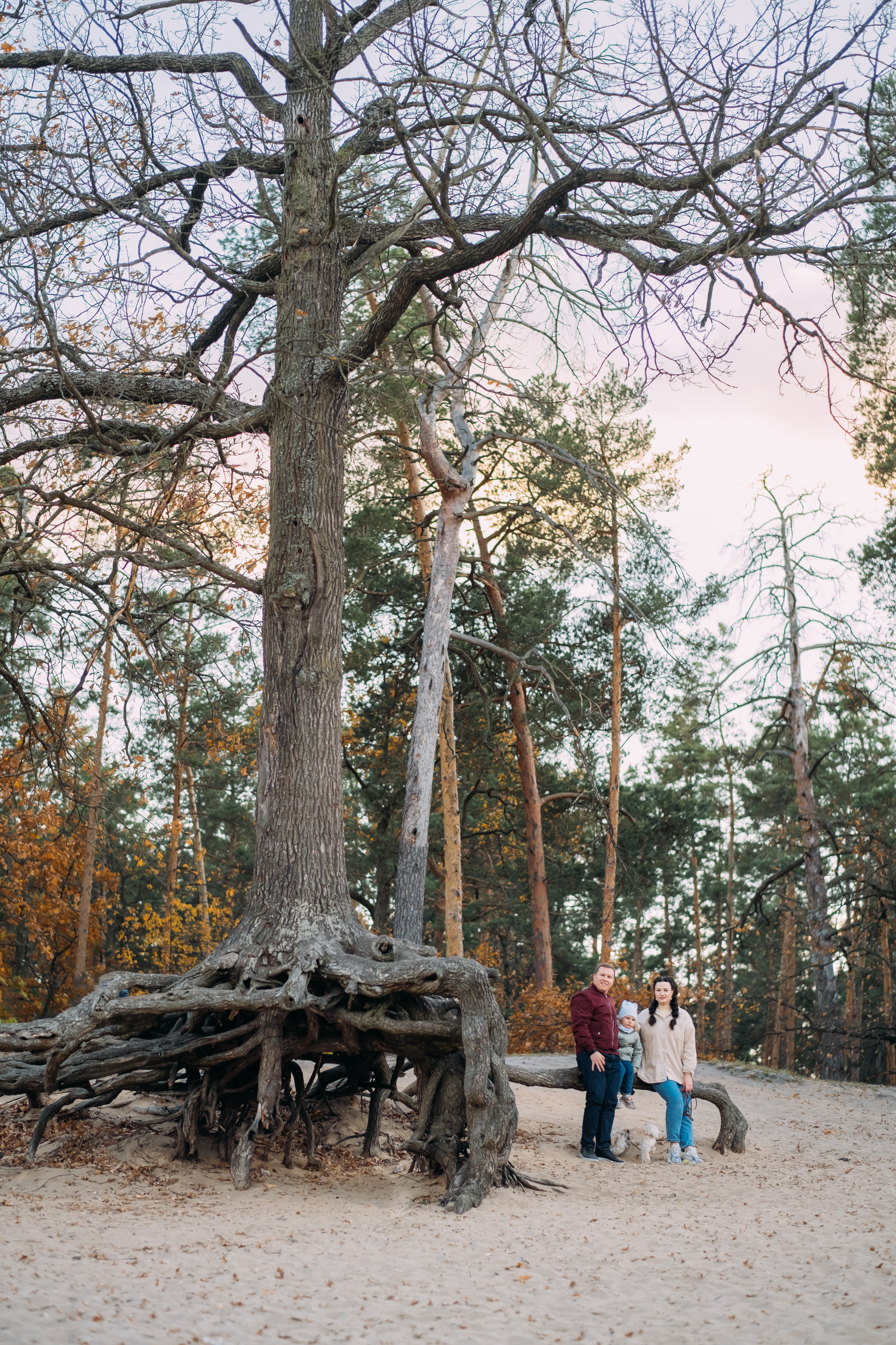 Теплые осенние поцелуи. Сімейний і портретний фотограф у Києві Проценко Алла