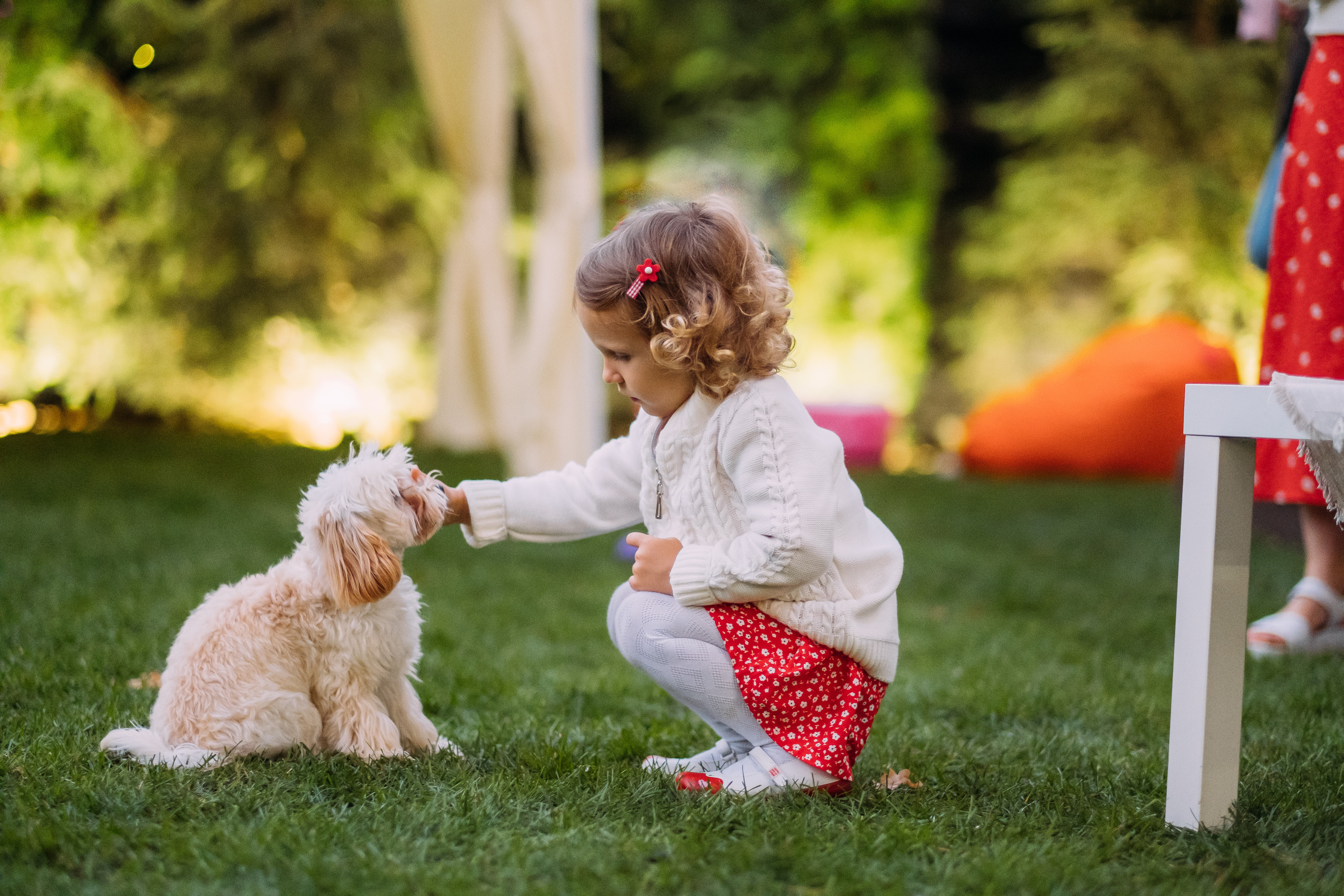 Фотосессия Дня Рождения Софийки. Сімейний і портретний фотограф у Києві Проценко Алла