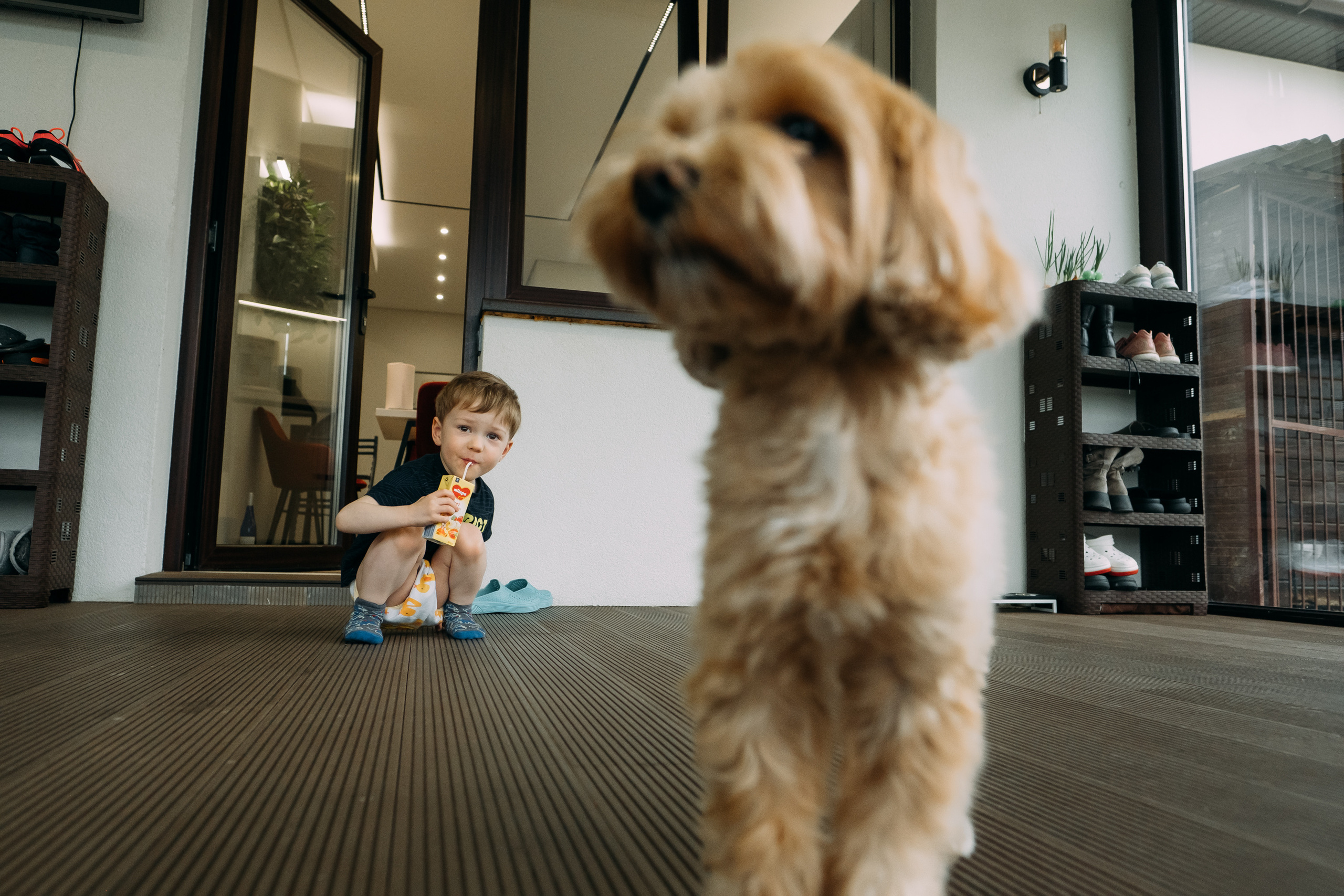 Home Sweet Home. Сімейний і портретний фотограф у Києві Проценко Алла