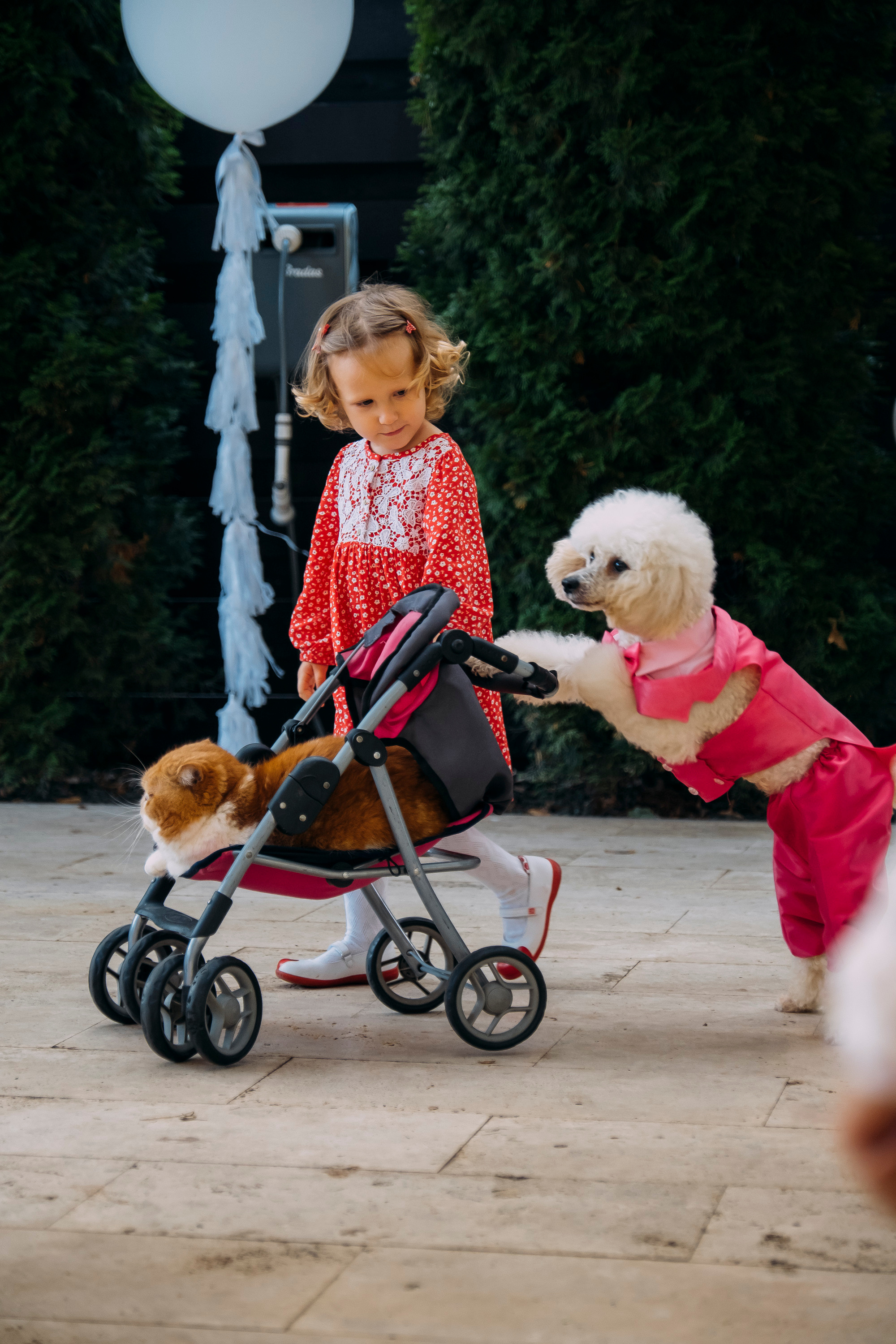 Фотосессия Дня Рождения Софийки. Сімейний і портретний фотограф у Києві Проценко Алла