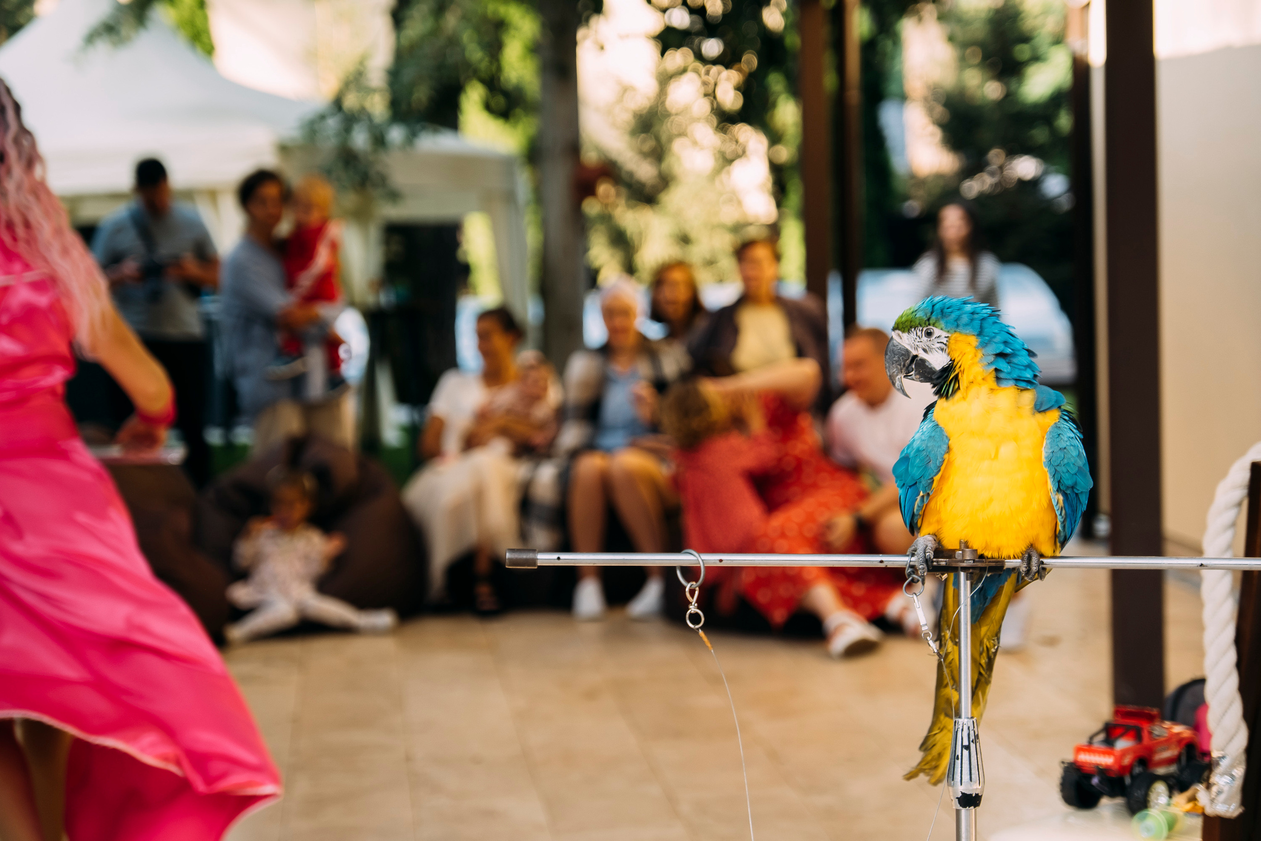 Фотосессия Дня Рождения Софийки. Сімейний і портретний фотограф у Києві Проценко Алла