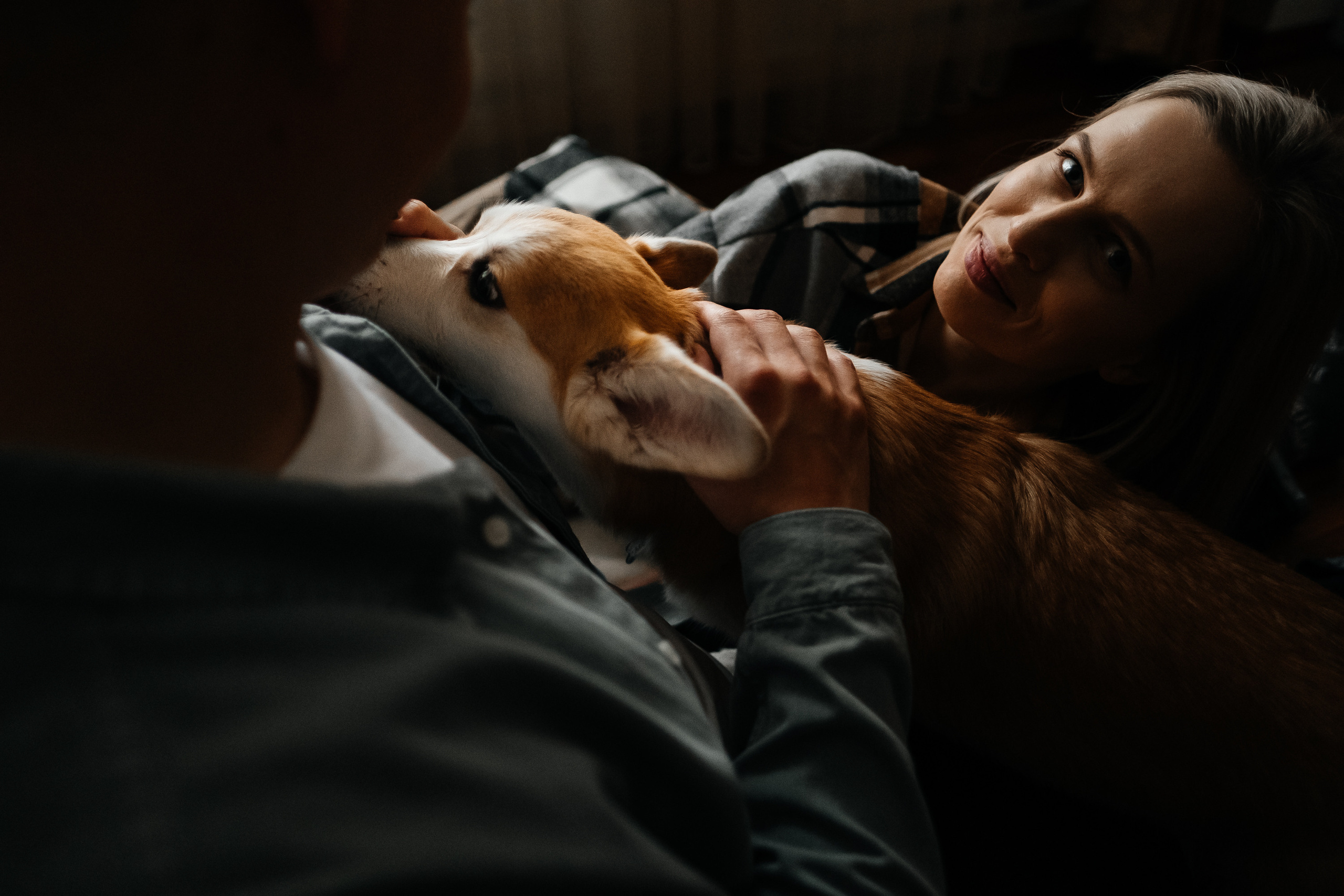 Затишна домашня фотосесія з улюбленцем. Сімейний і портретний фотограф у Києві Проценко Алла