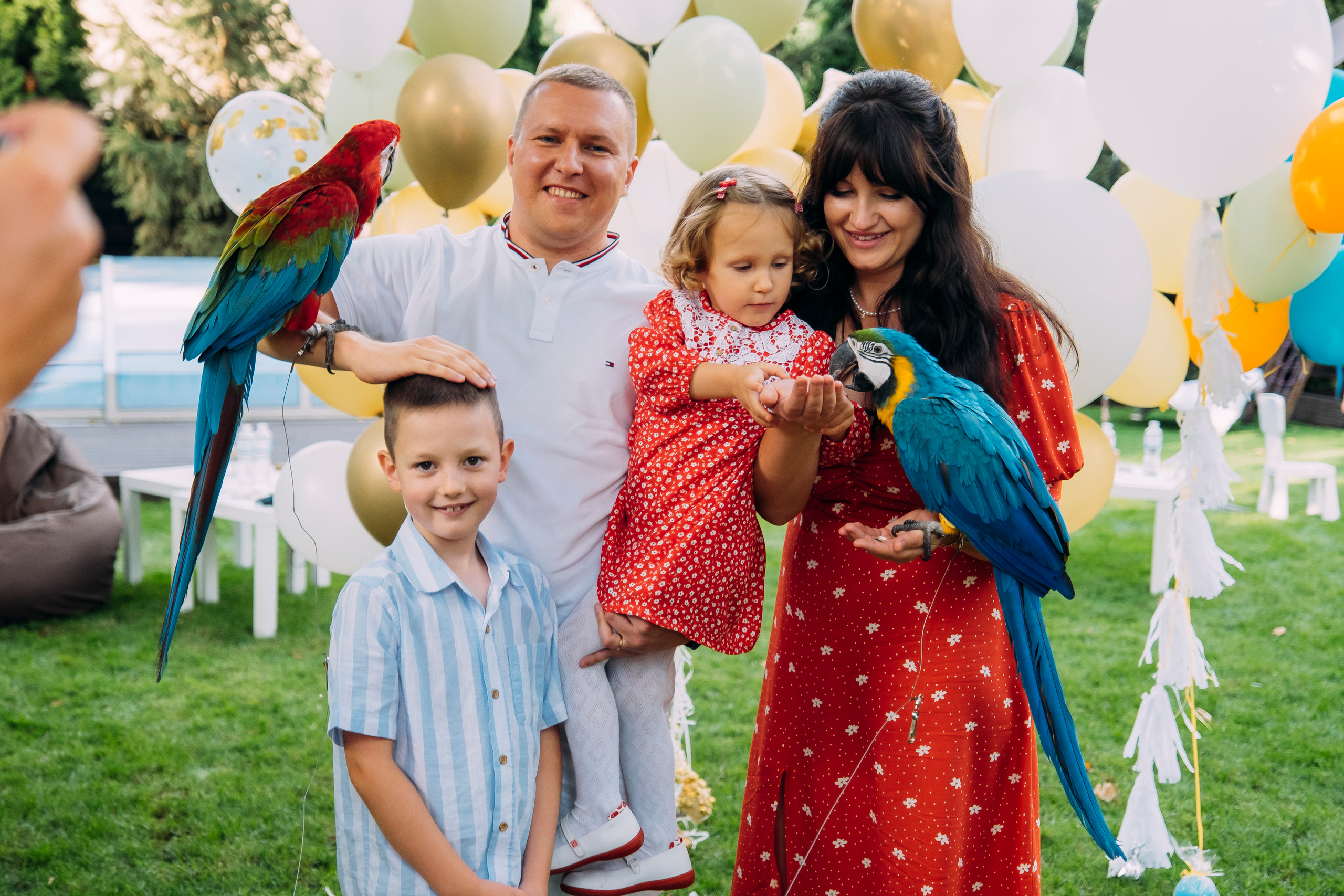 Фотосессия Дня Рождения Софийки. Сімейний і портретний фотограф у Києві Проценко Алла