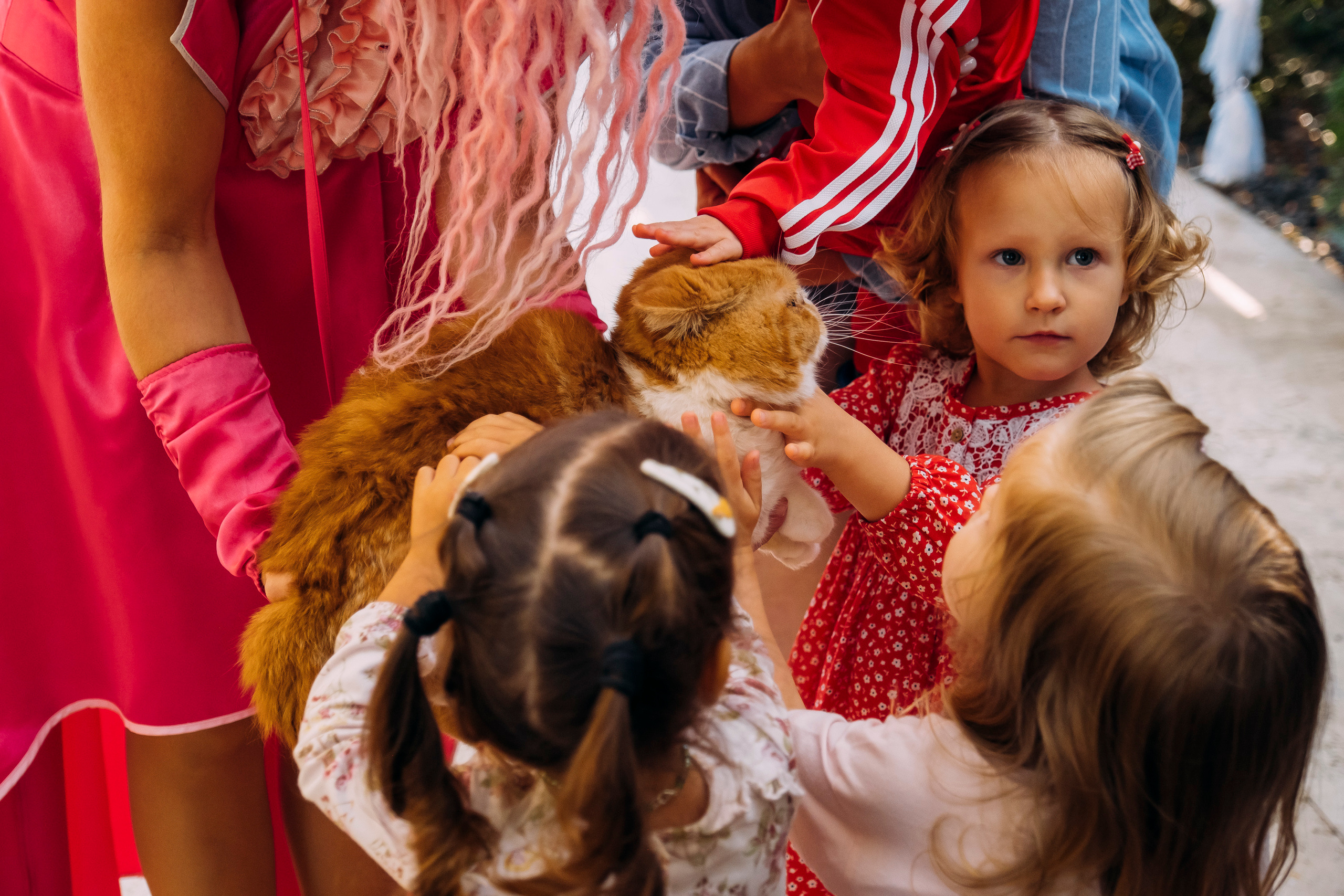 Фотосессия Дня Рождения Софийки. Сімейний і портретний фотограф у Києві Проценко Алла