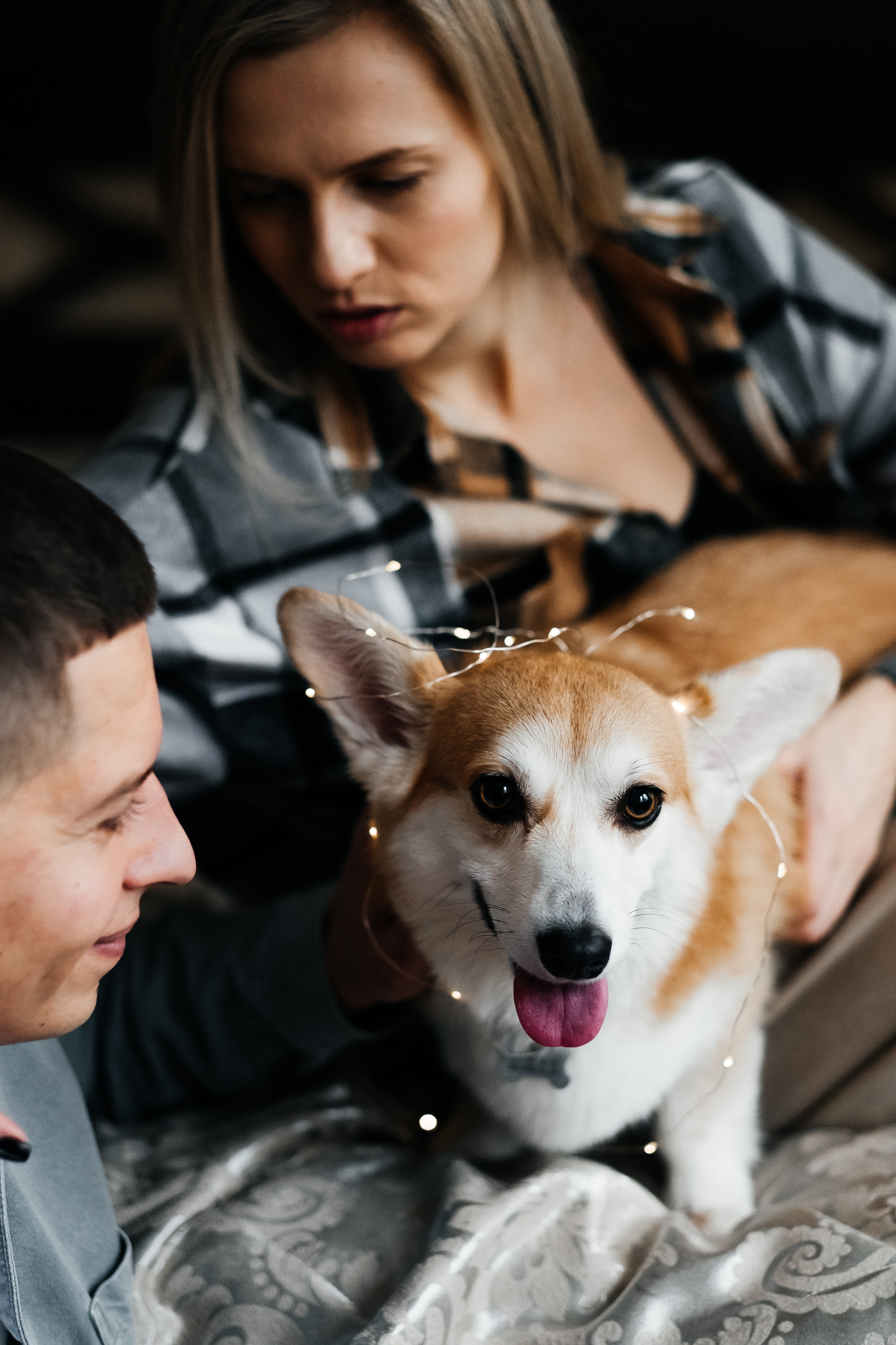 Затишна домашня фотосесія з улюбленцем. Сімейний і портретний фотограф у Києві Проценко Алла