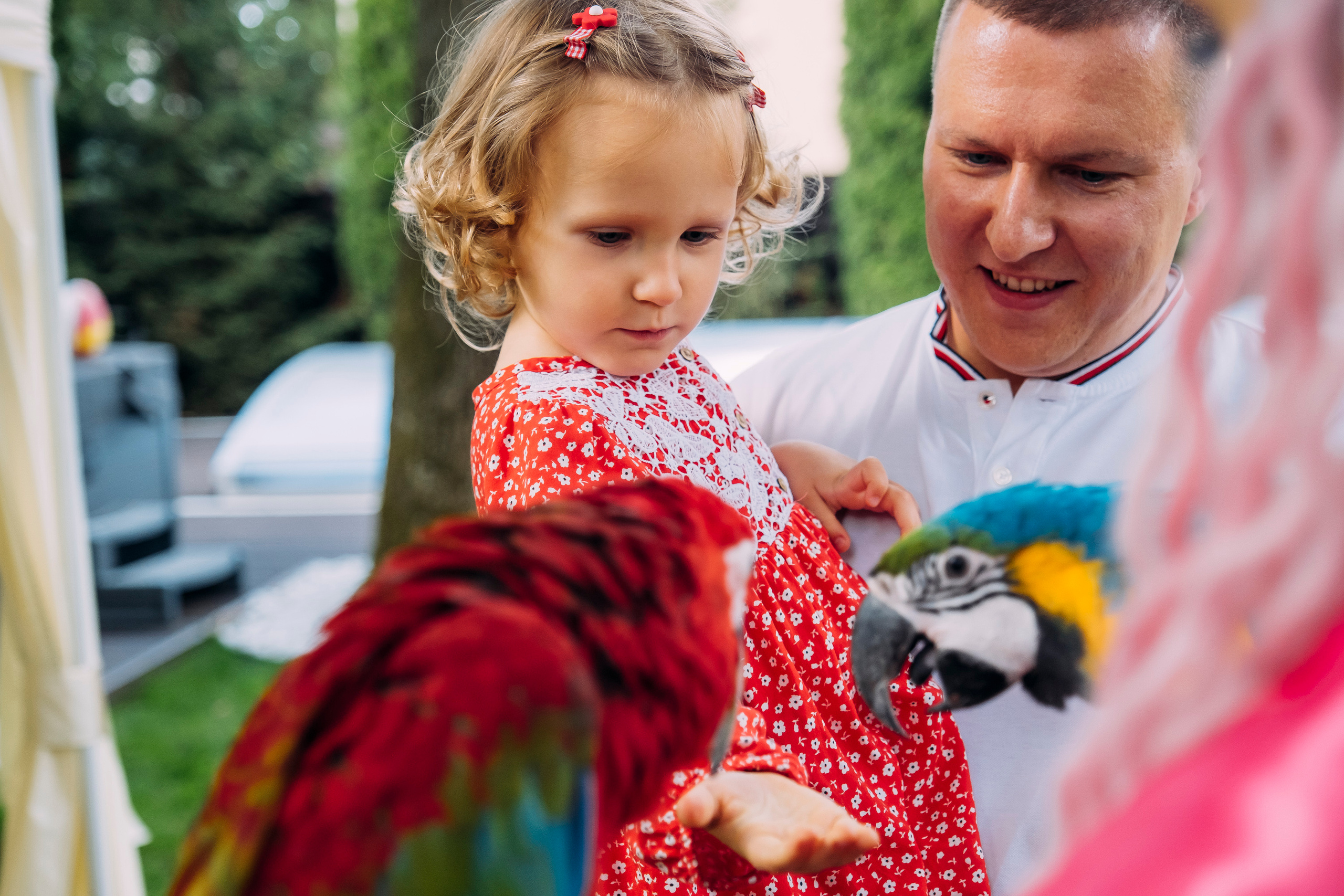 Фотосессия Дня Рождения Софийки. Сімейний і портретний фотограф у Києві Проценко Алла