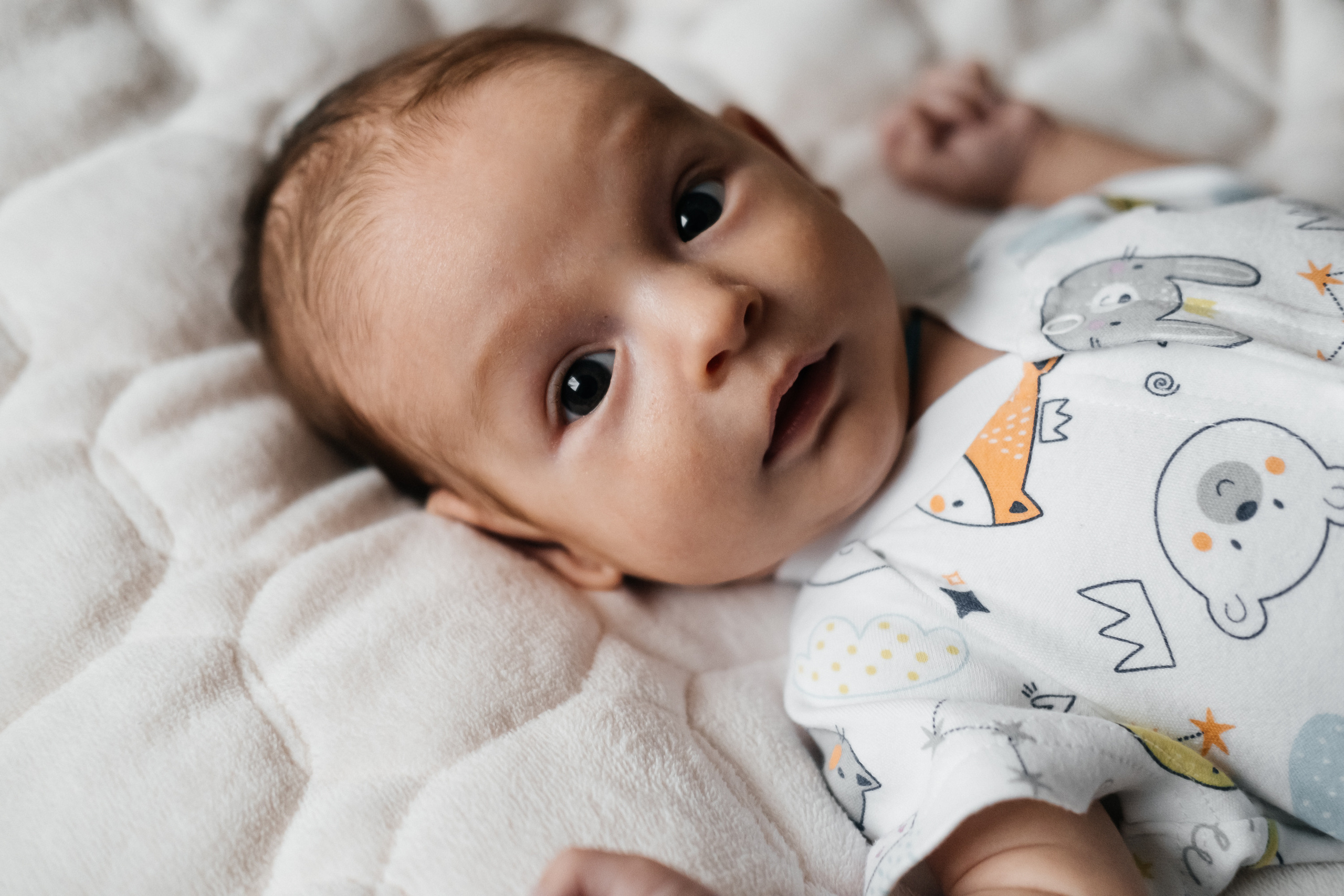 Уютные домашние объятья. Сімейний і портретний фотограф у Києві Проценко Алла