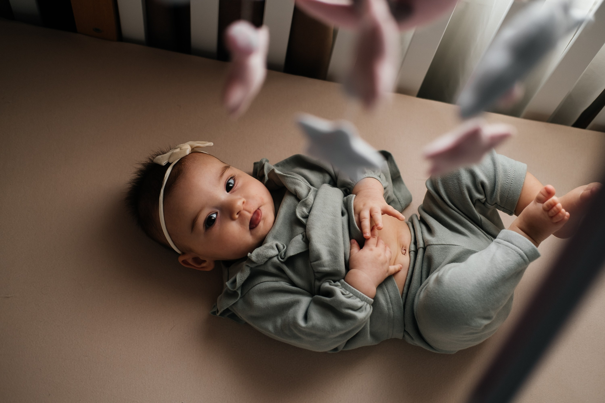 Сімейне гніздечко Каті та Діми. Сімейний і портретний фотограф у Києві Проценко Алла