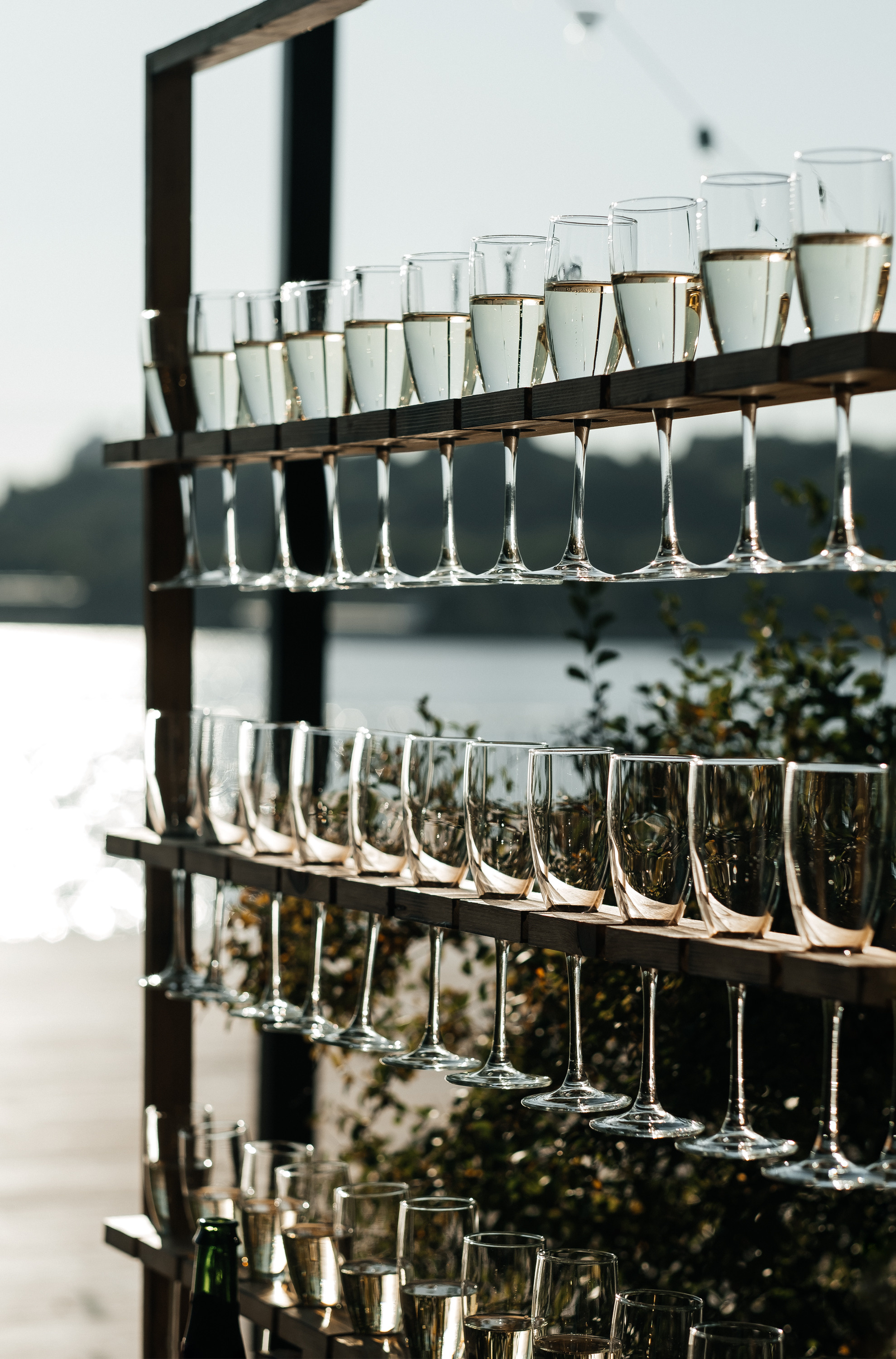 Свадьба Дениса и Марины. Сімейний і портретний фотограф у Києві Проценко Алла