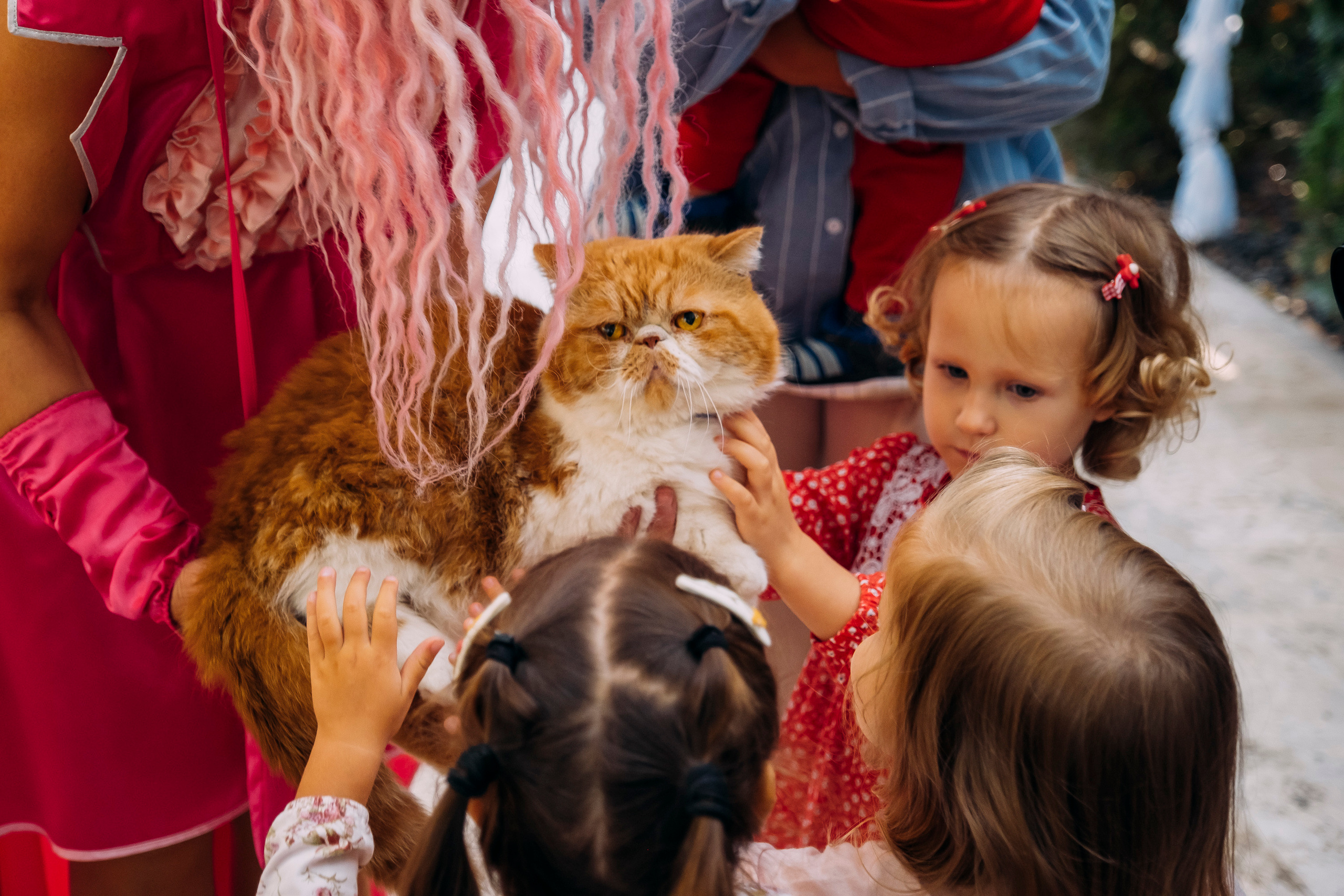 Фотосессия Дня Рождения Софийки. Сімейний і портретний фотограф у Києві Проценко Алла