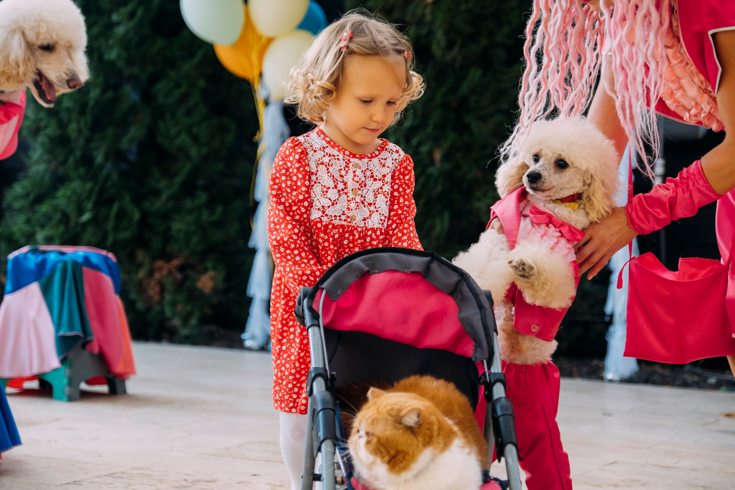 Фотосессия Дня Рождения Софийки. Сімейний і портретний фотограф у Києві Проценко Алла