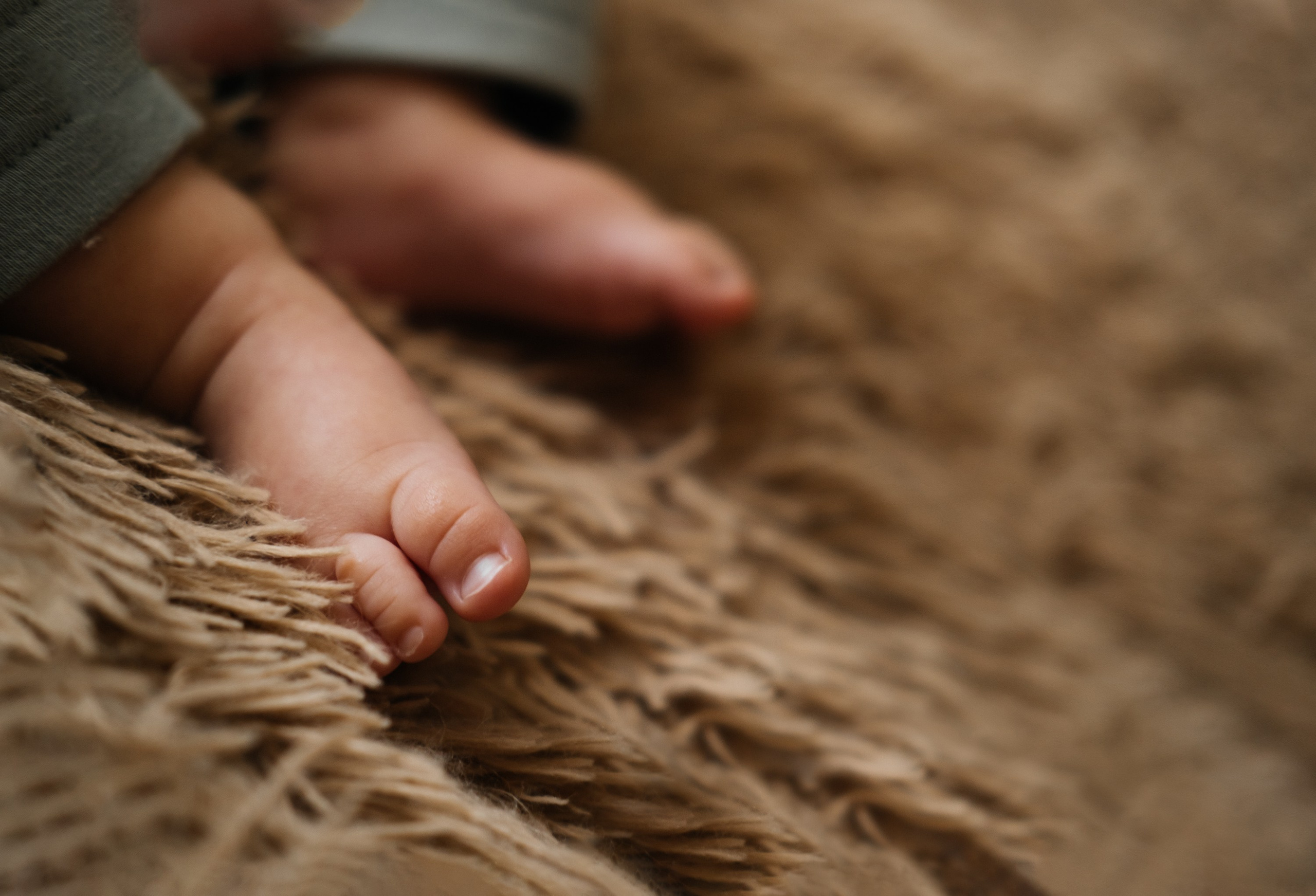 Сімейне гніздечко Каті та Діми. Сімейний і портретний фотограф у Києві Проценко Алла