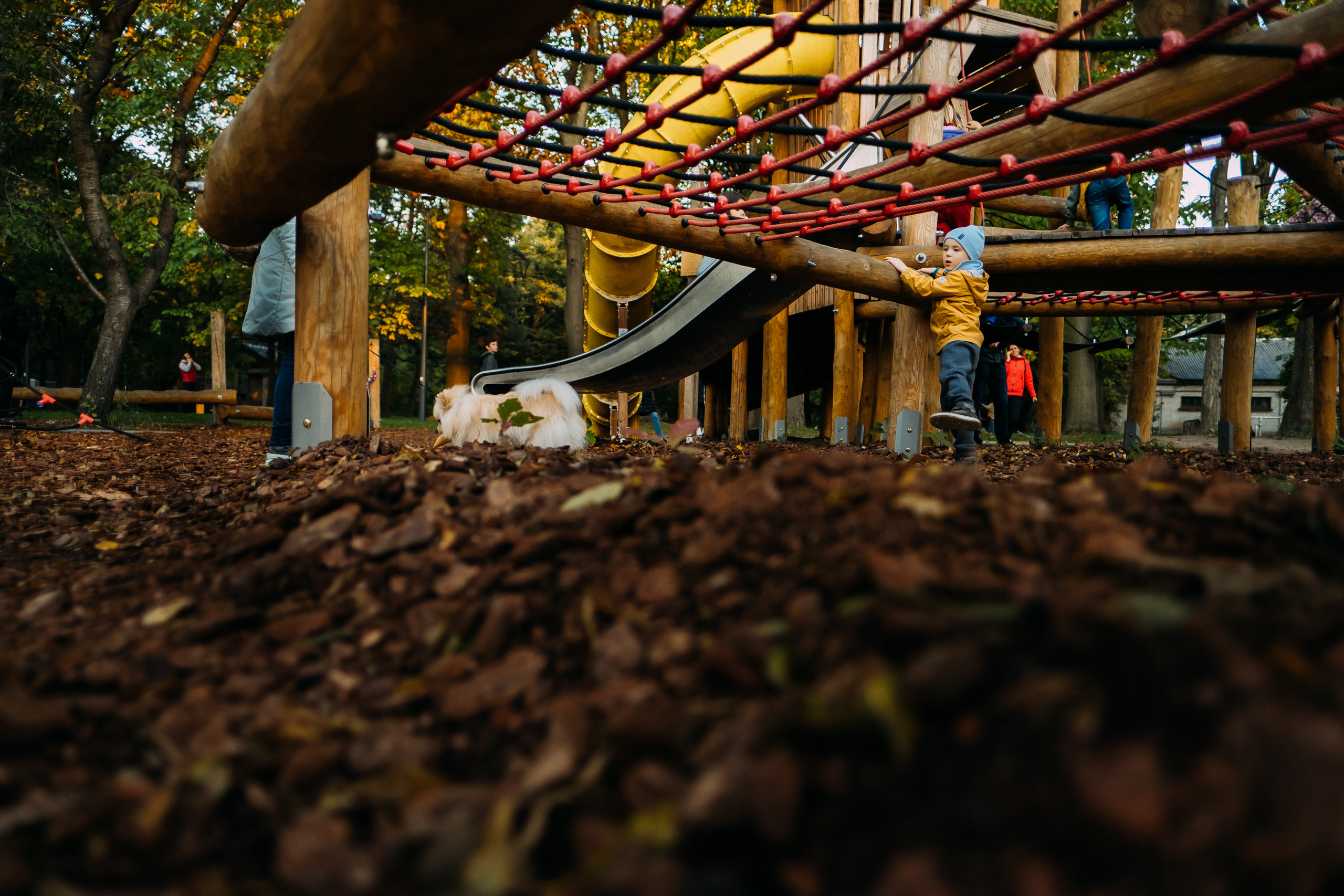 Autumn Mood. Сімейний і портретний фотограф у Києві Проценко Алла