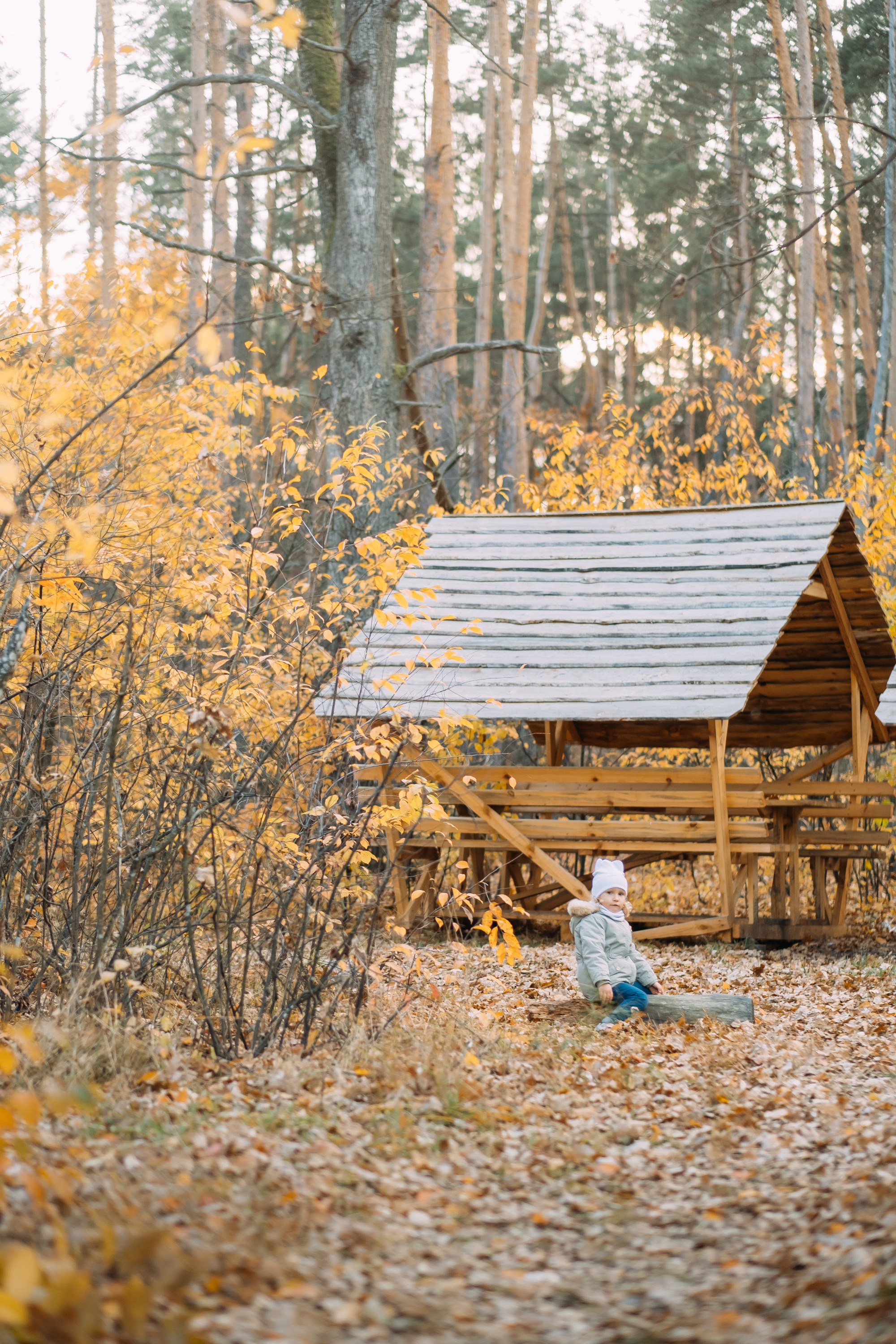Теплые осенние поцелуи. Сімейний і портретний фотограф у Києві Проценко Алла