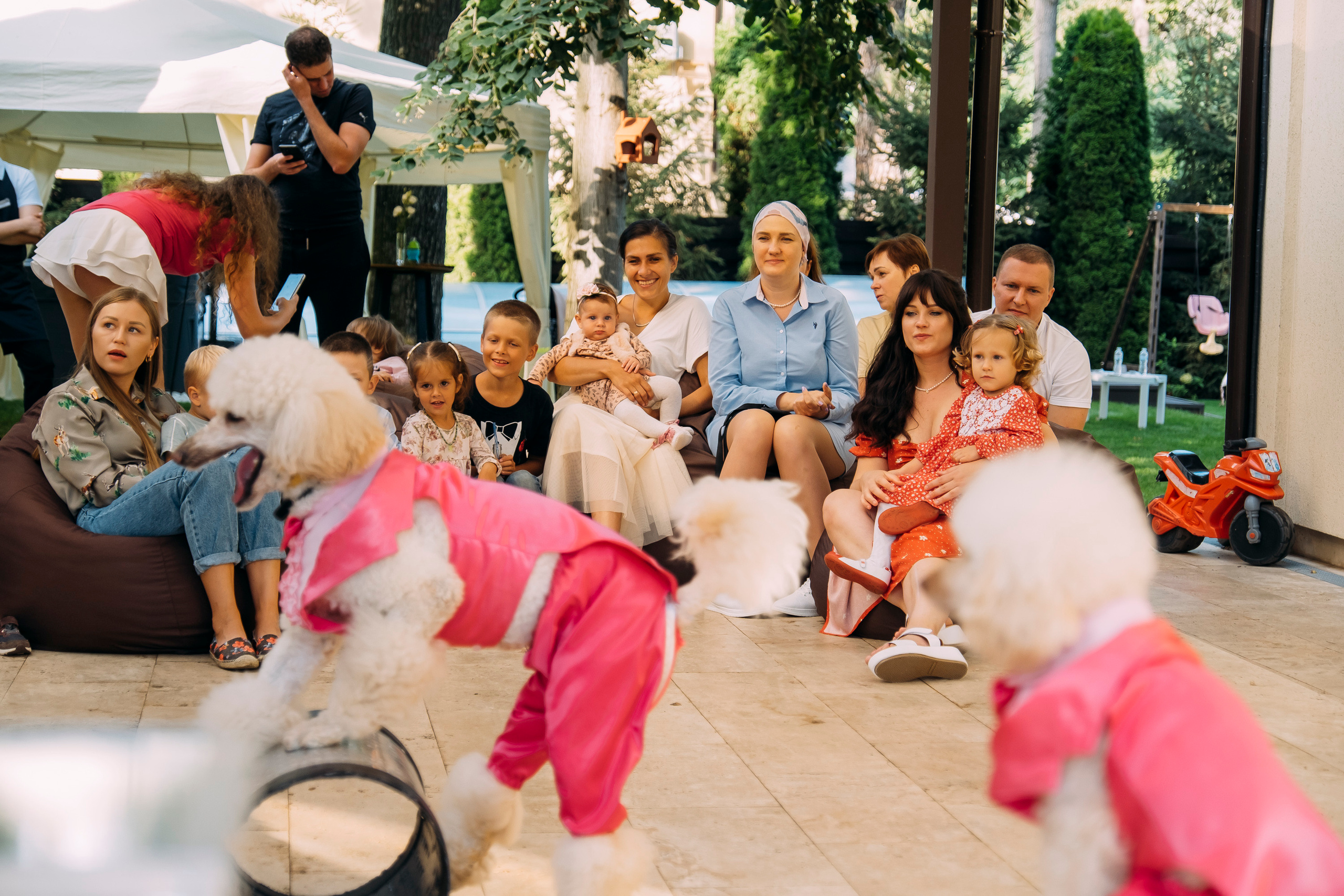 Фотосессия Дня Рождения Софийки. Сімейний і портретний фотограф у Києві Проценко Алла
