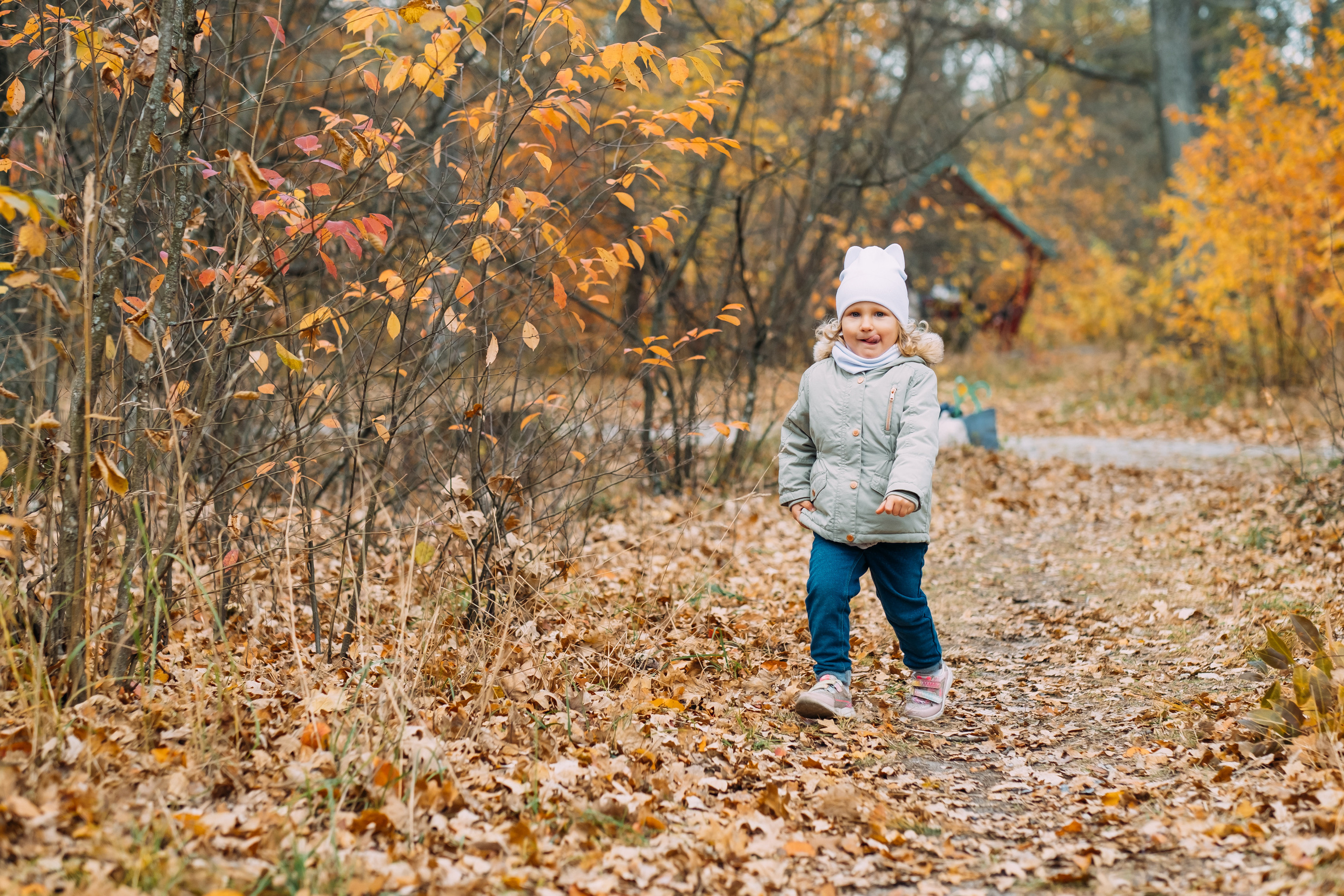 Теплые осенние поцелуи. Сімейний і портретний фотограф у Києві Проценко Алла