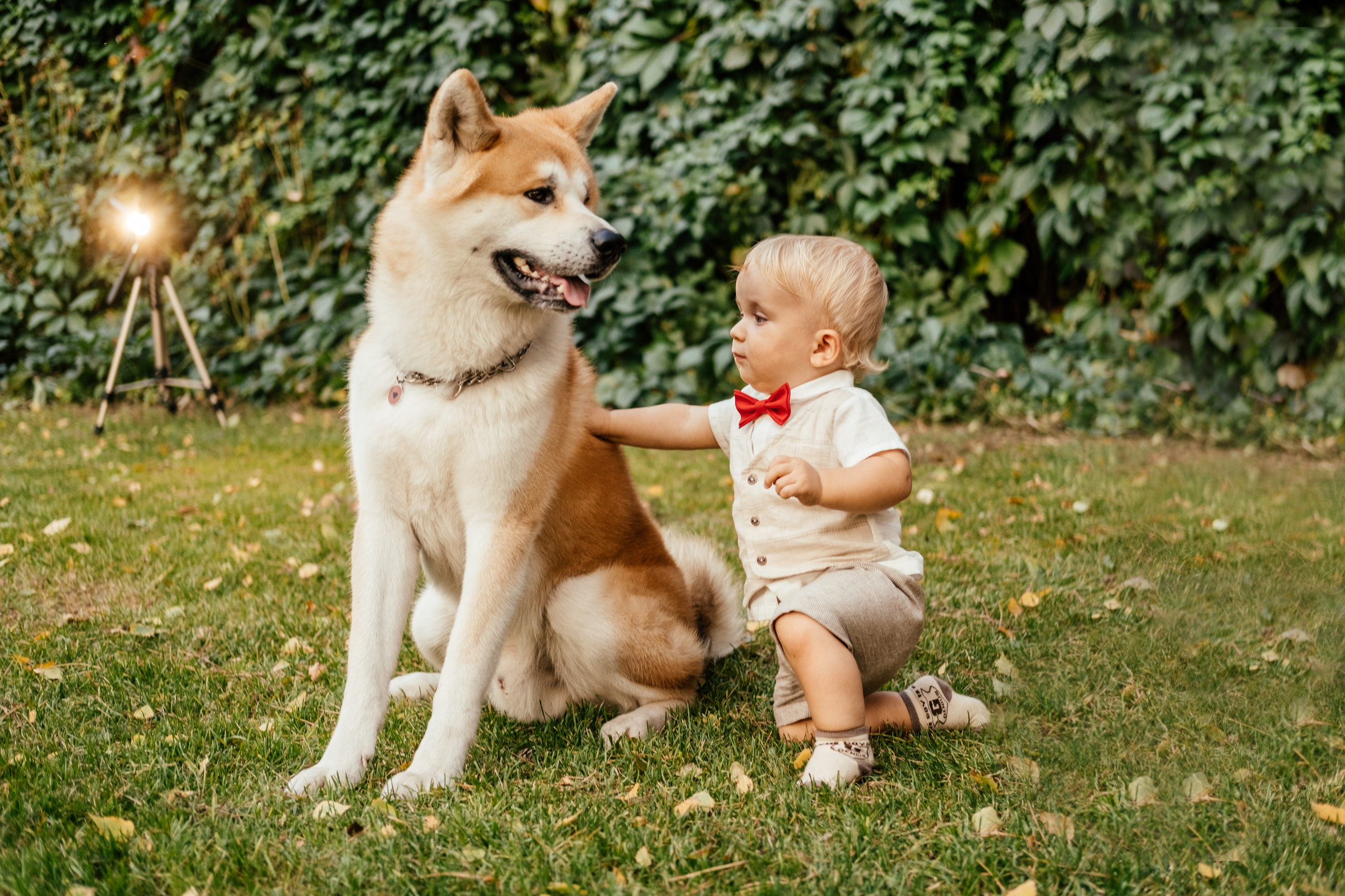 Красавчик в красной бабочке. Сімейний і портретний фотограф у Києві Проценко Алла